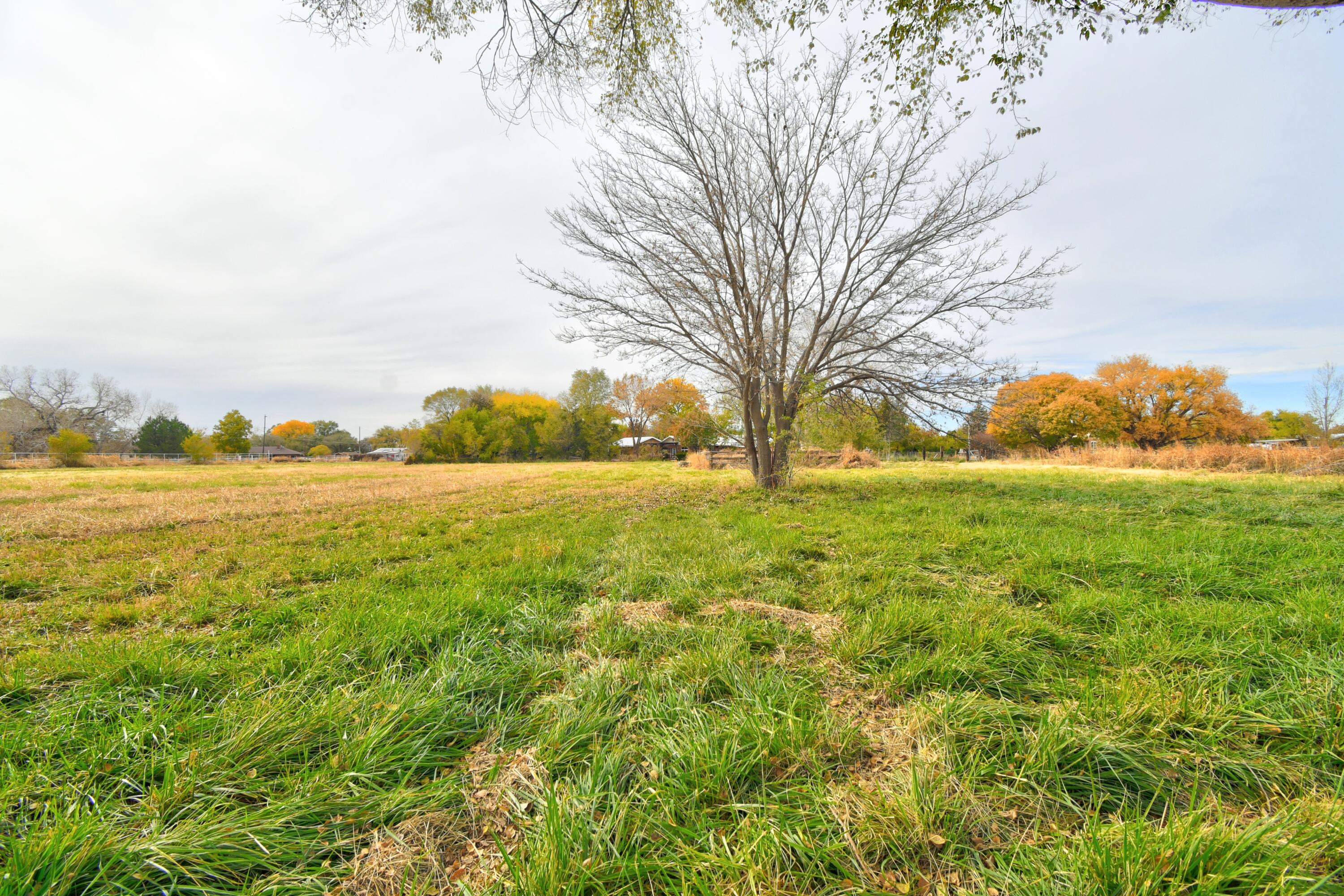 30 Cottonwood Lane, Los Lunas, New Mexico image 30