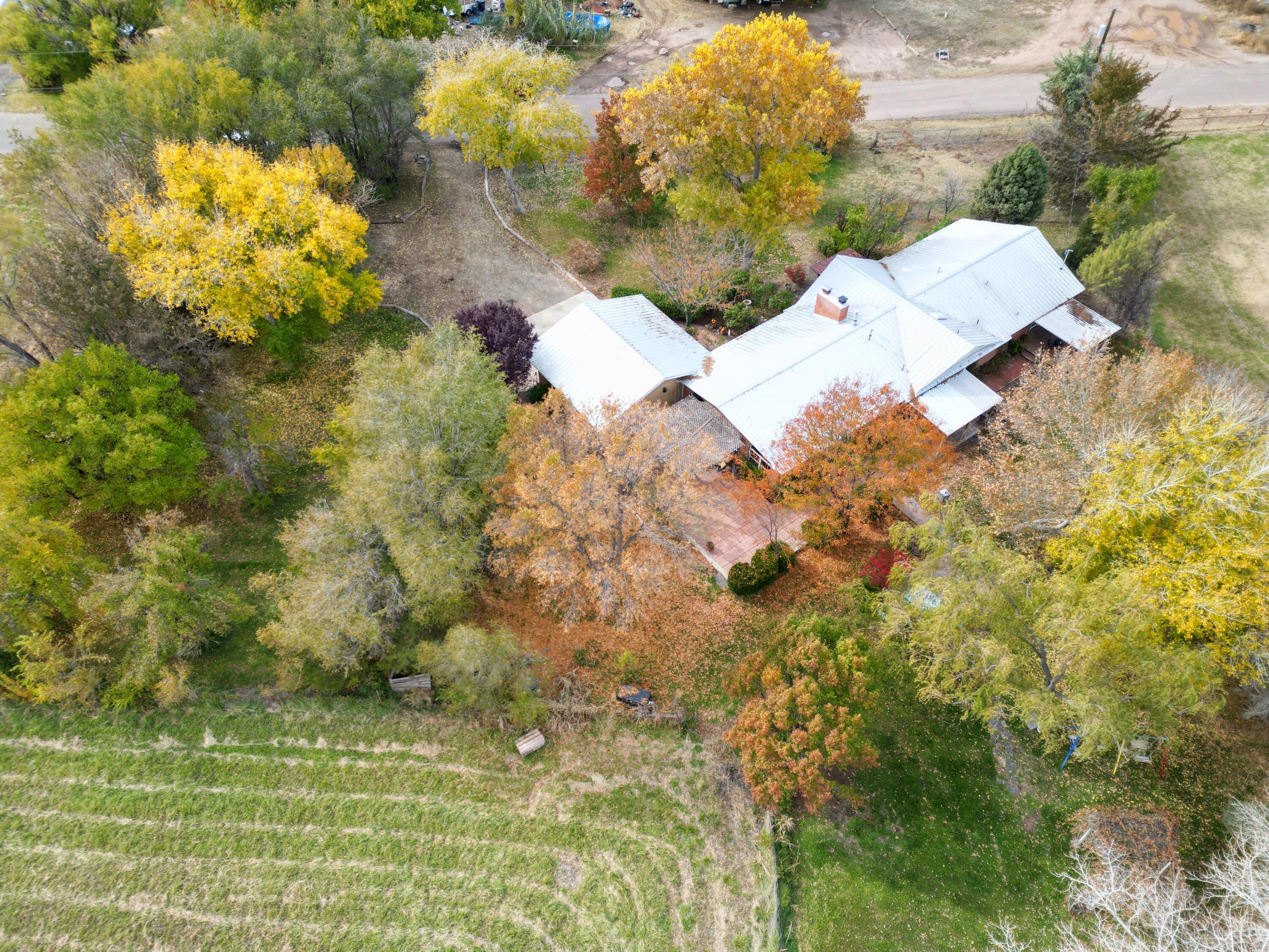 30 Cottonwood Lane, Los Lunas, New Mexico image 17