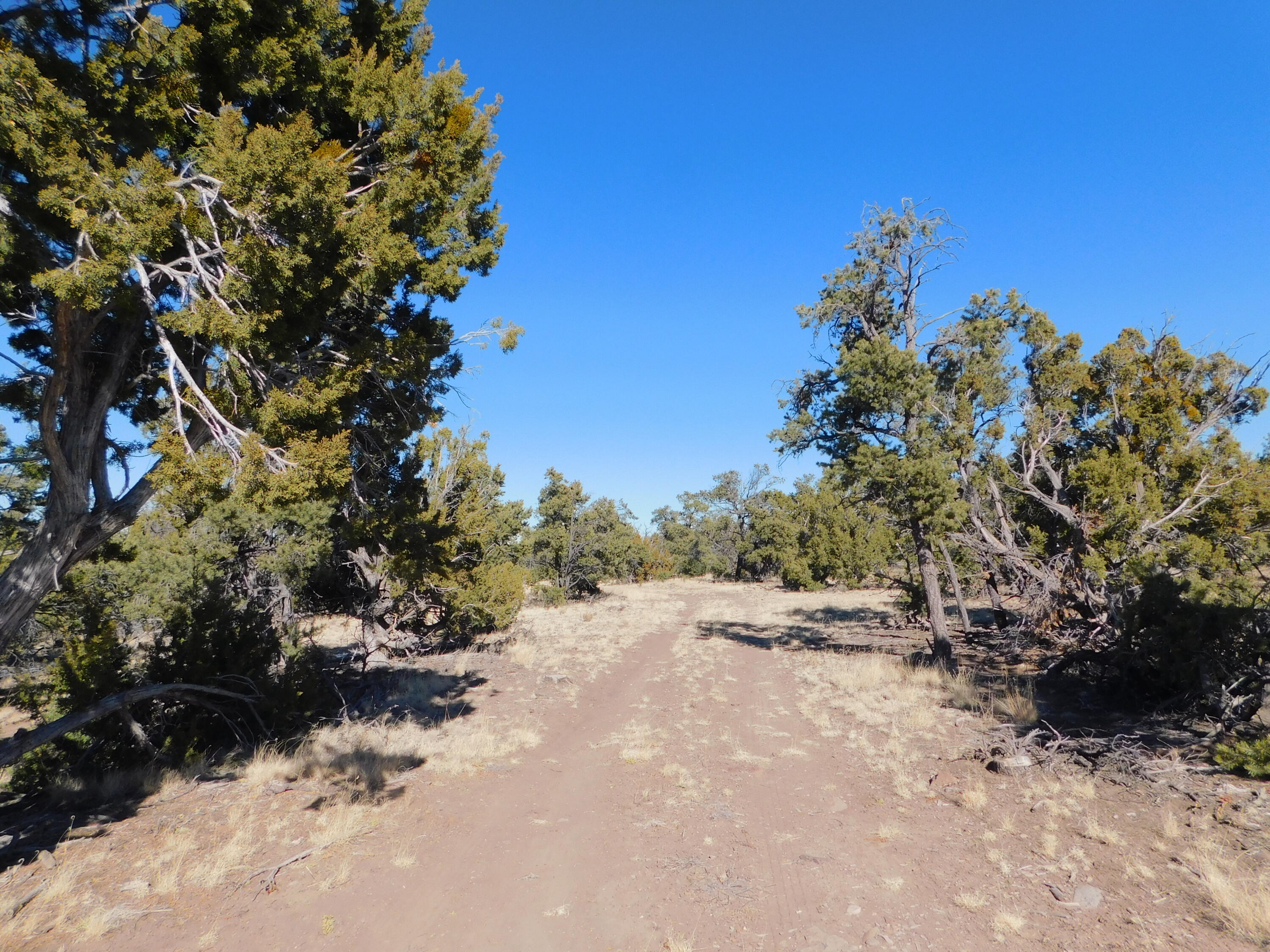 LOT 160 Stapleton Trail, Quemado, New Mexico image 20