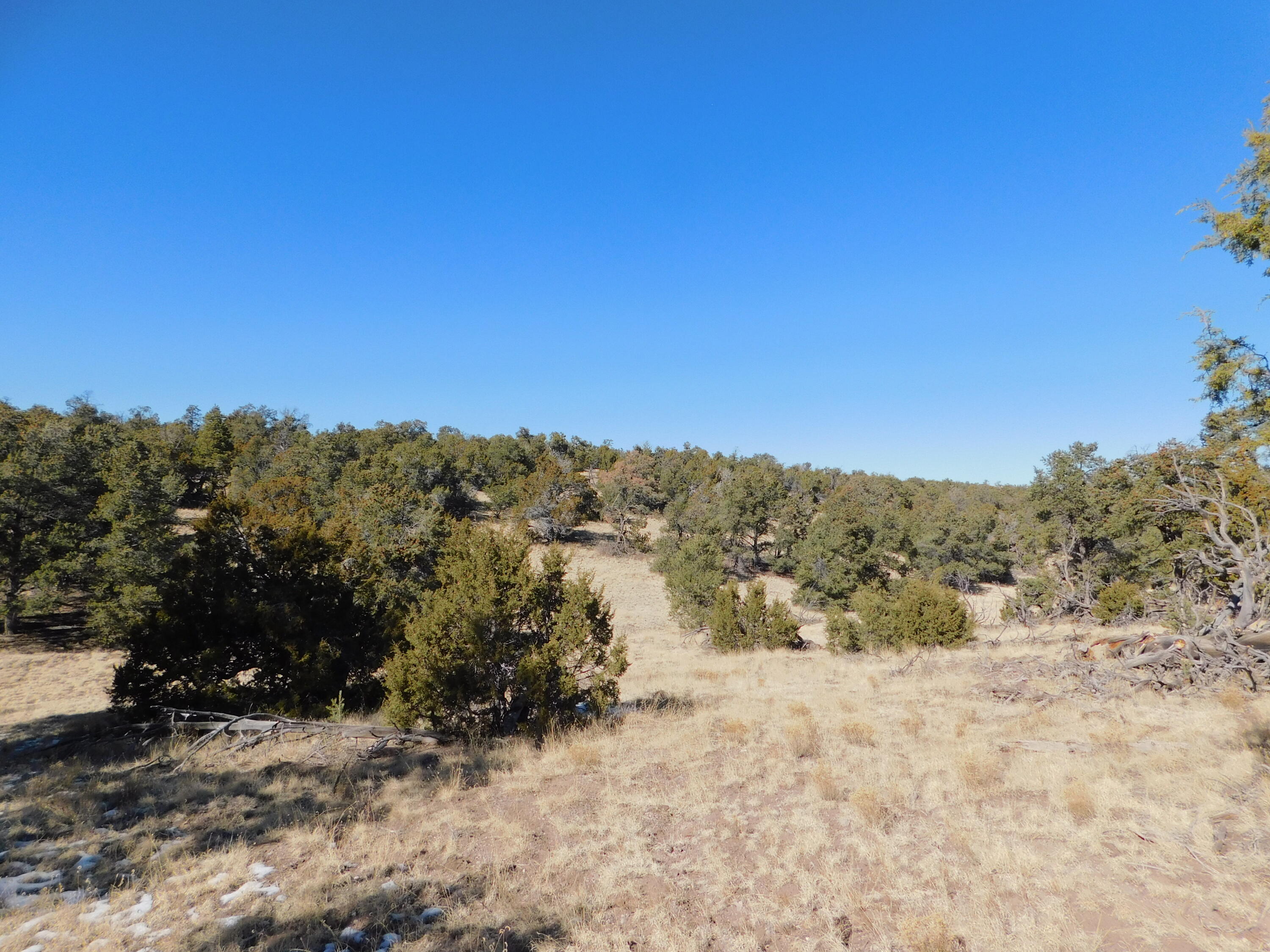 LOT 160 Stapleton Trail, Quemado, New Mexico image 13