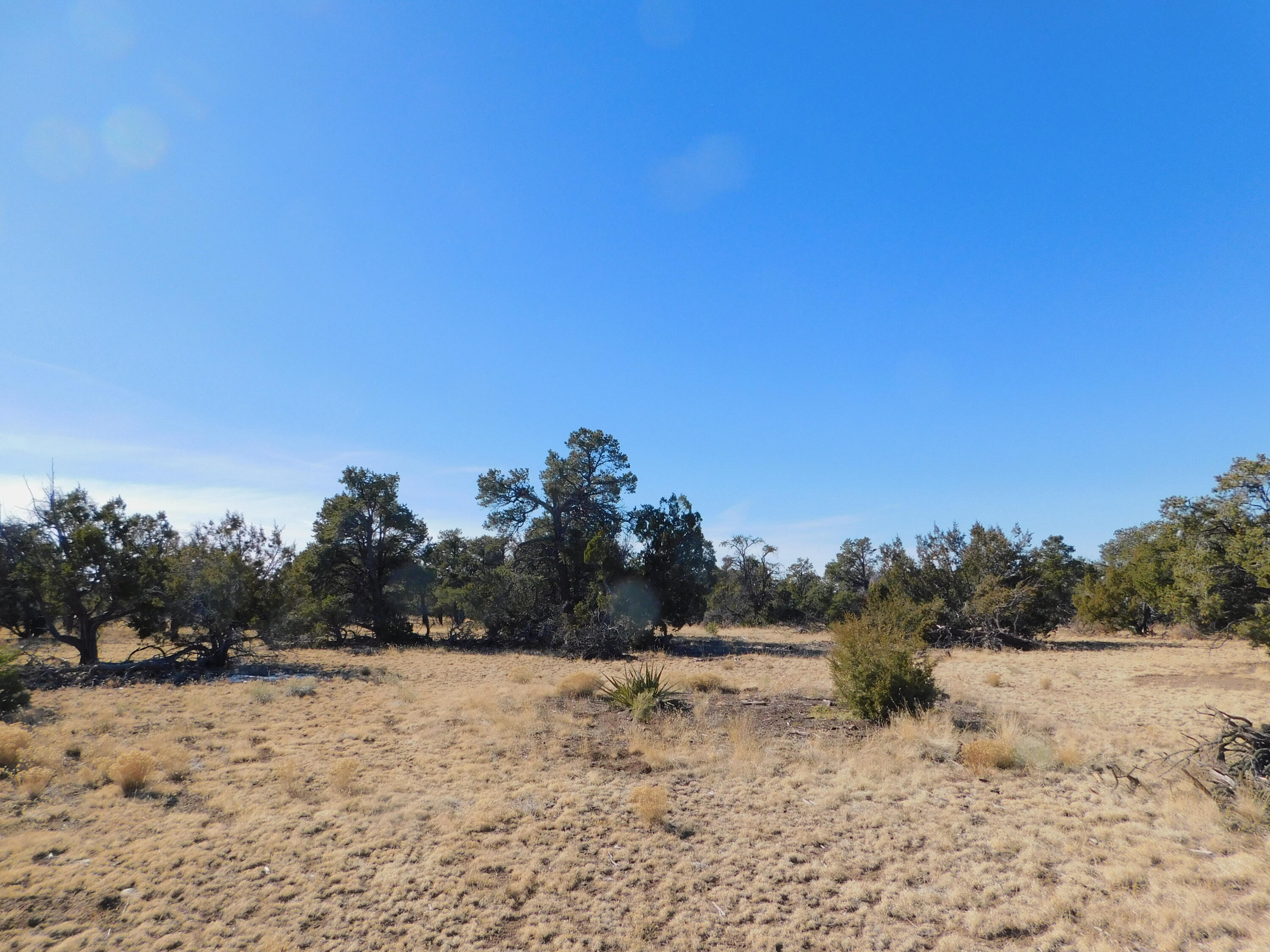 LOT 160 Stapleton Trail, Quemado, New Mexico image 19