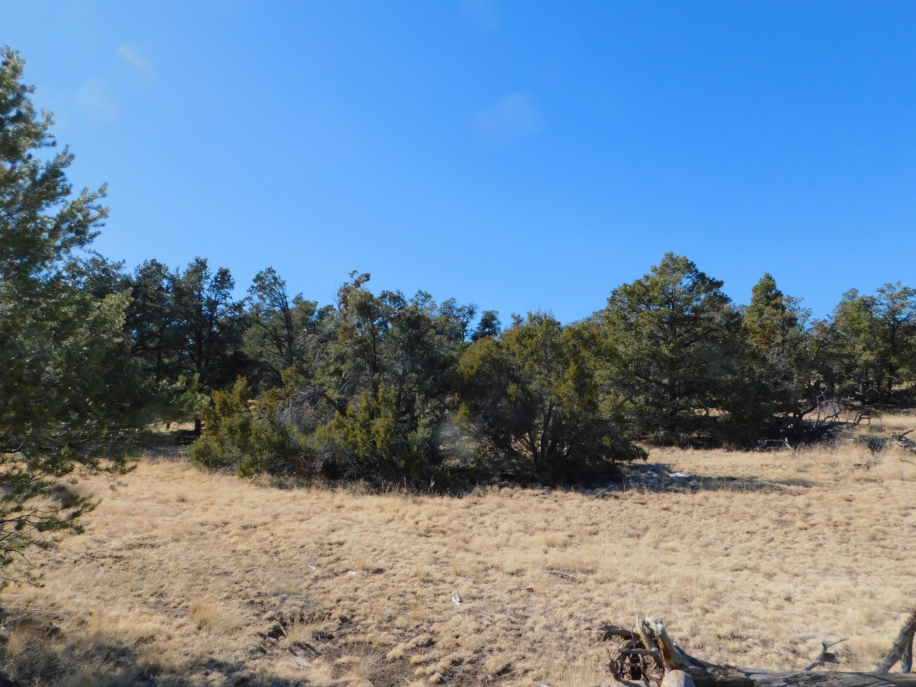 LOT 160 Stapleton Trail, Quemado, New Mexico image 12