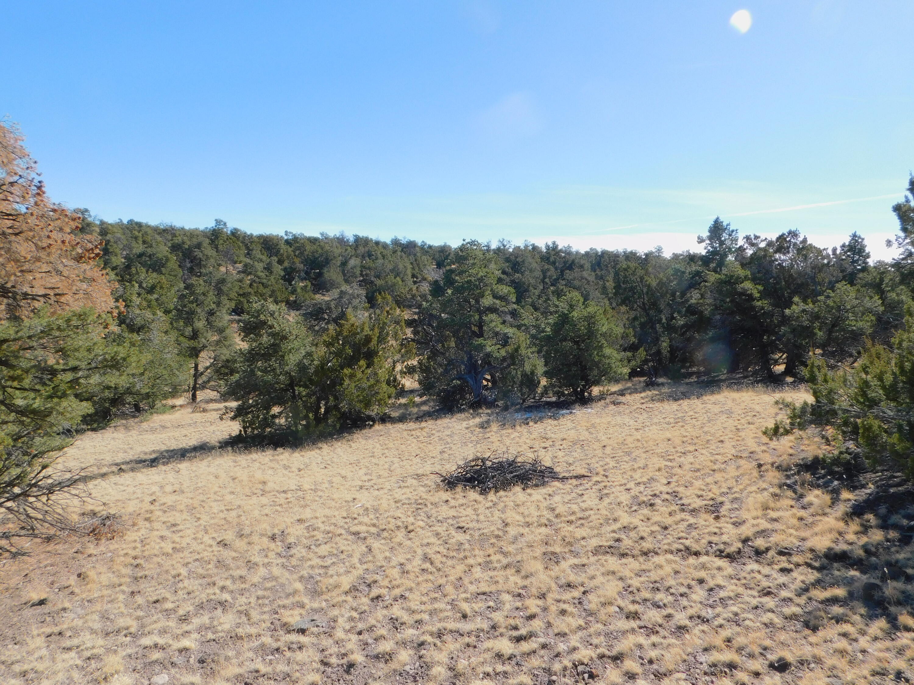 LOT 160 Stapleton Trail, Quemado, New Mexico image 9