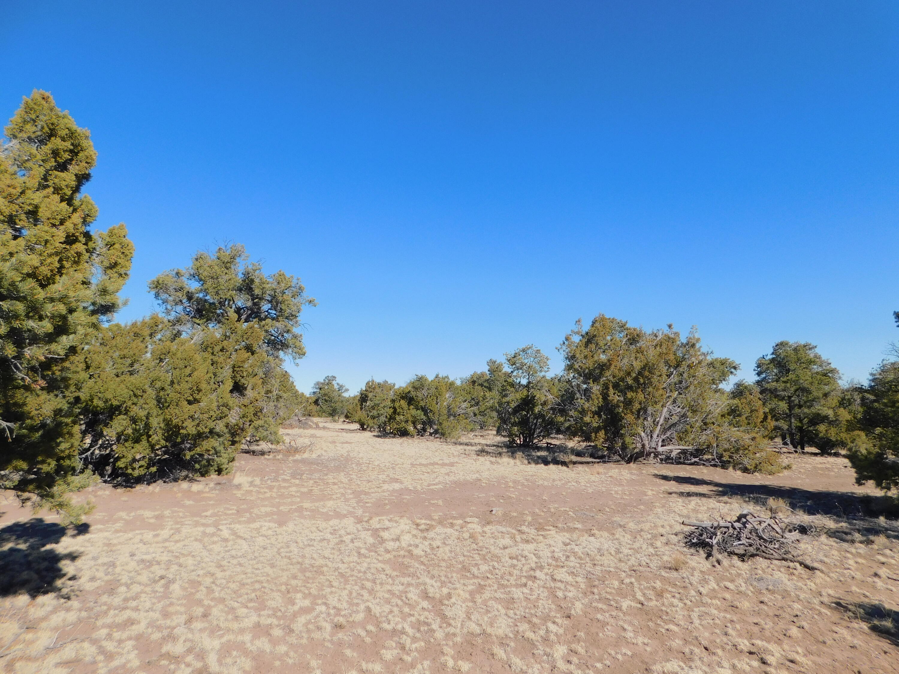 LOT 160 Stapleton Trail, Quemado, New Mexico image 18