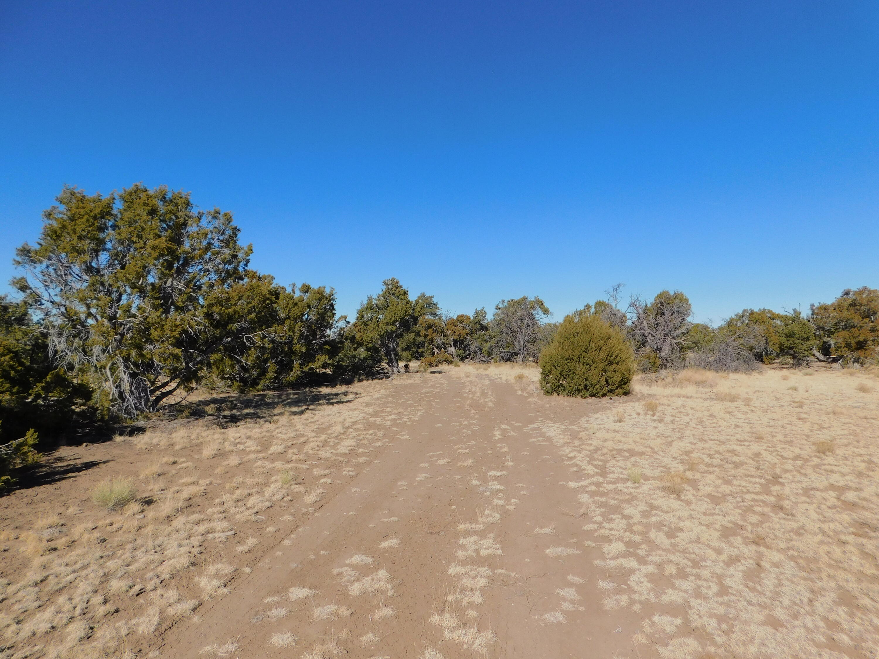 LOT 160 Stapleton Trail, Quemado, New Mexico image 22