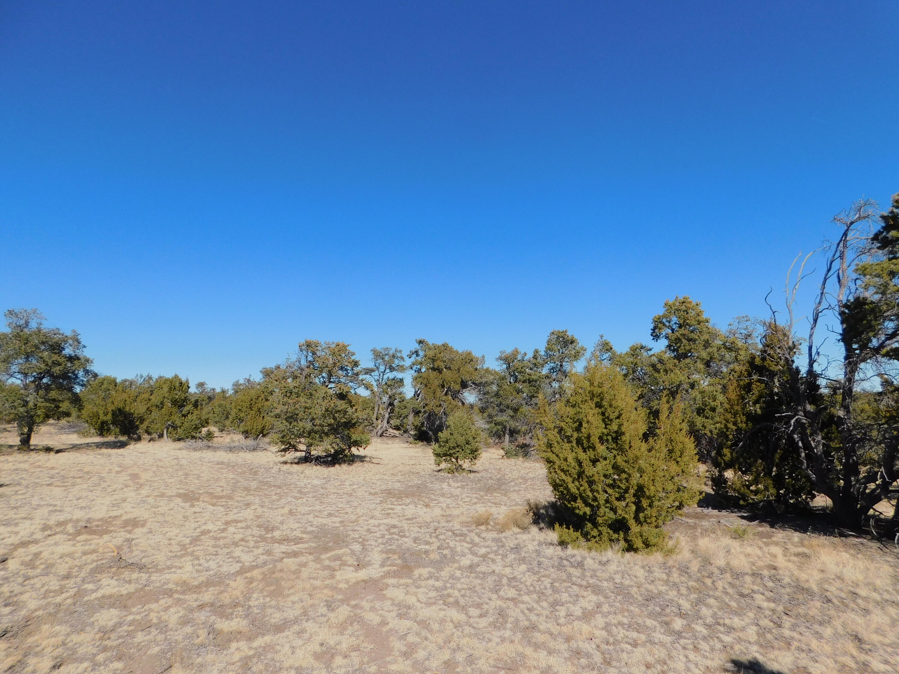 LOT 160 Stapleton Trail, Quemado, New Mexico image 16