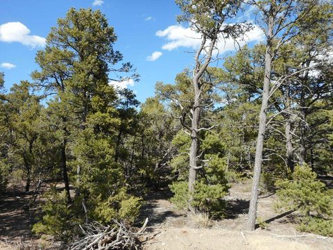 Vacant Land For Sale - 21 Cresta Vista Court<br/> Tijeras, NM 87059