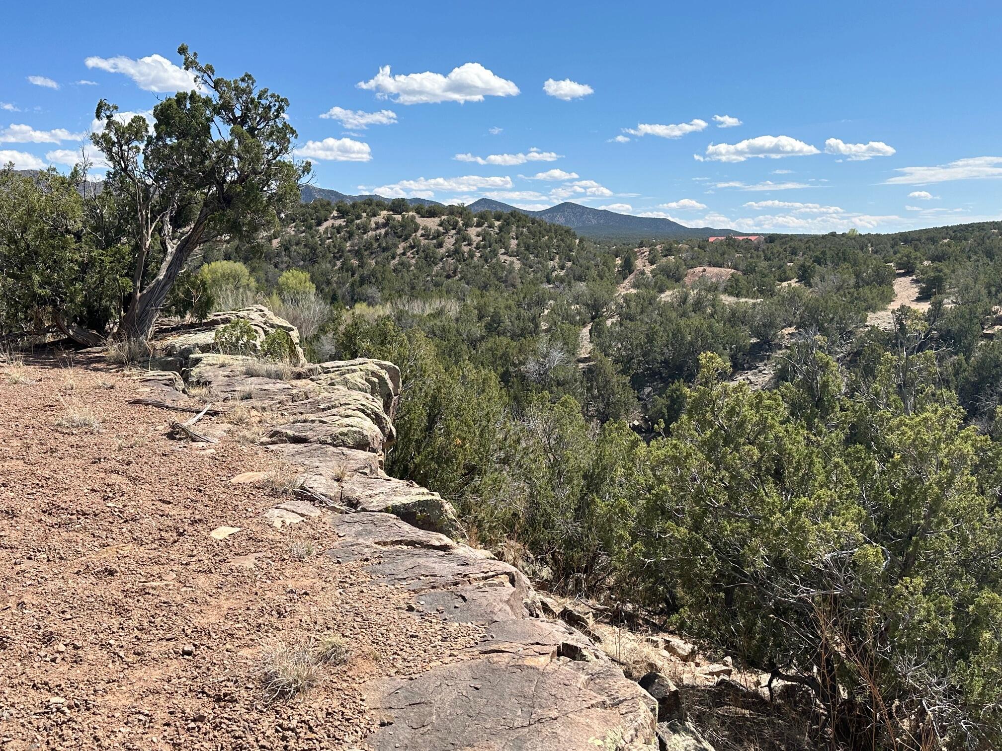 64 Gold Mine Trail, Sandia Park, New Mexico image 2