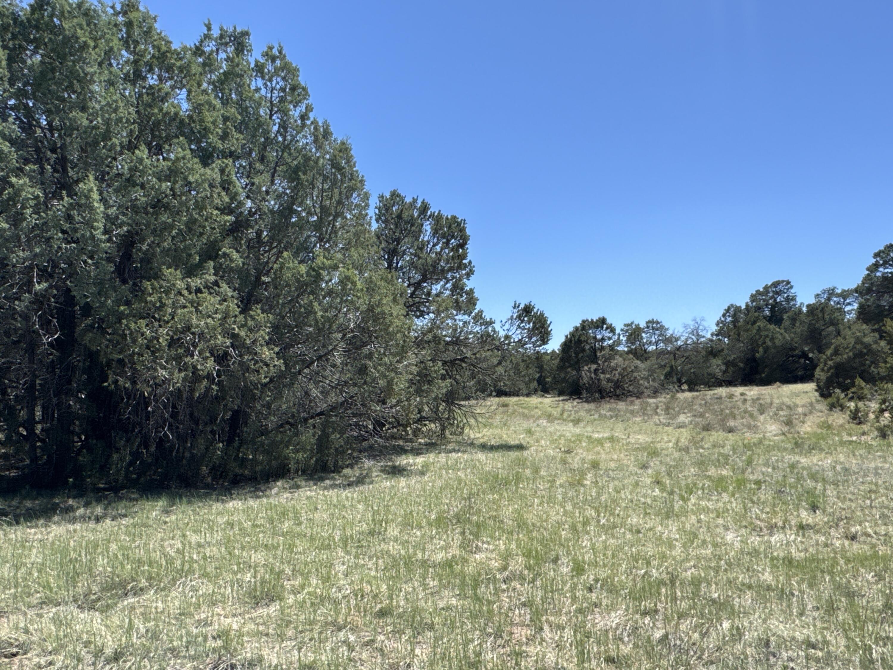 Tract 2 Gonzales Road, Edgewood, New Mexico image 3