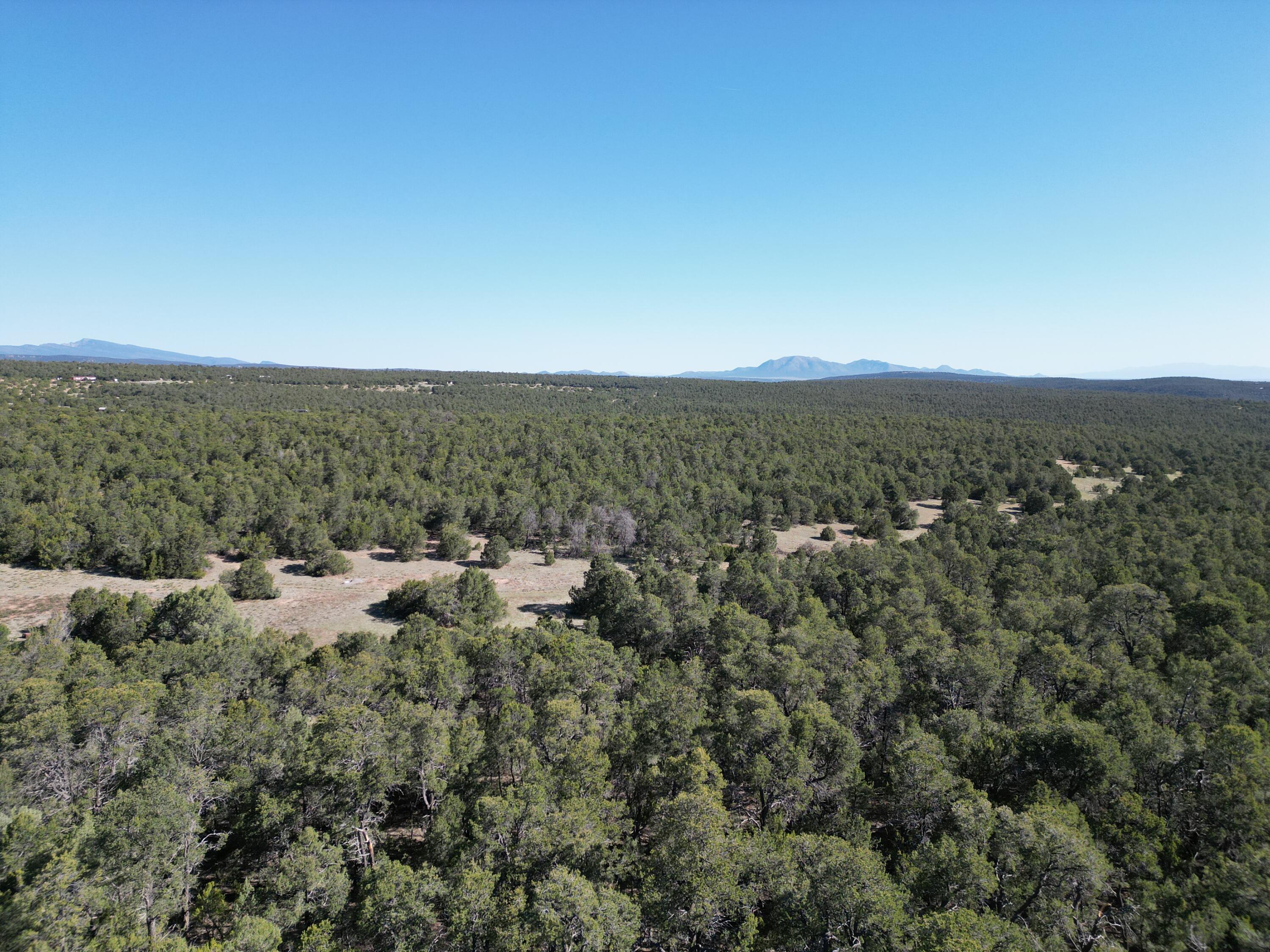 Tract 2 Gonzales Road, Edgewood, New Mexico image 1