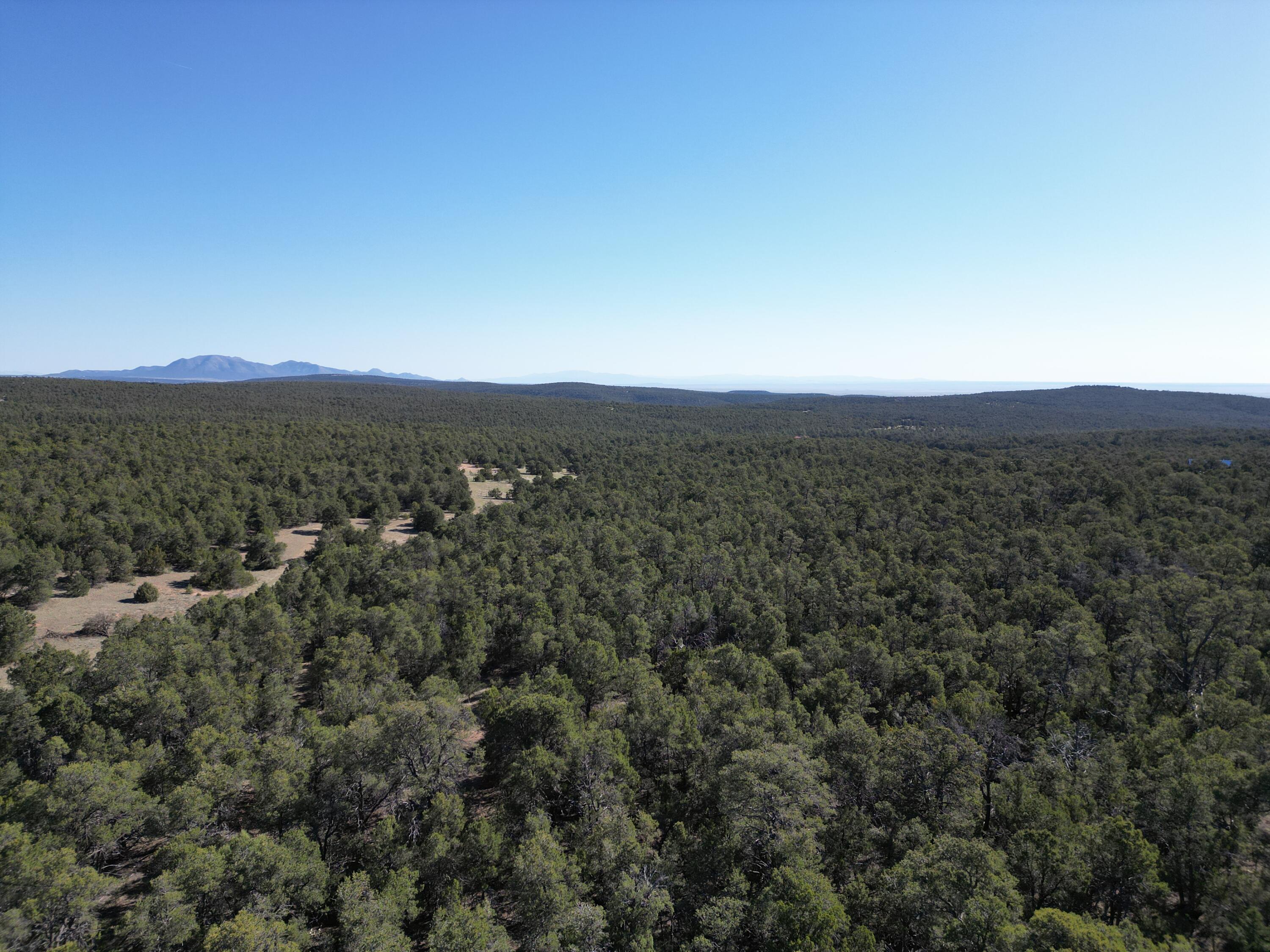 Tract 2 Gonzales Road, Edgewood, New Mexico image 6