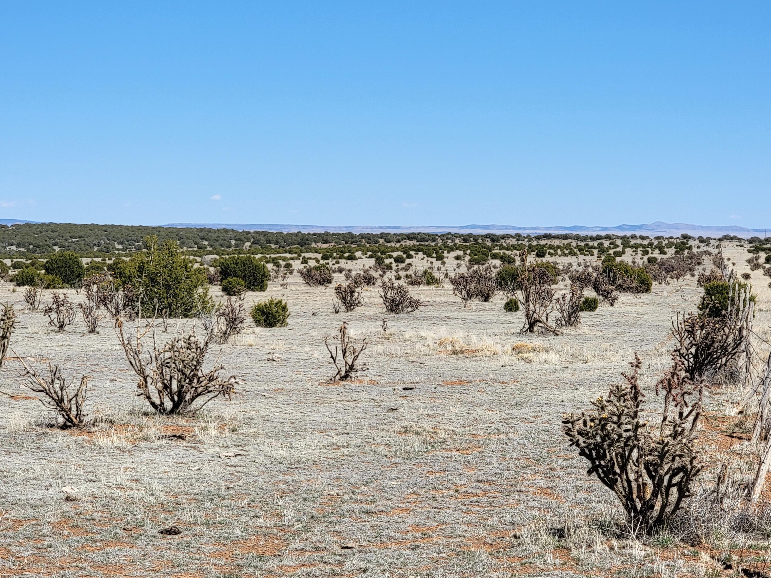 135 Brazos Loop, Estancia, New Mexico image 1