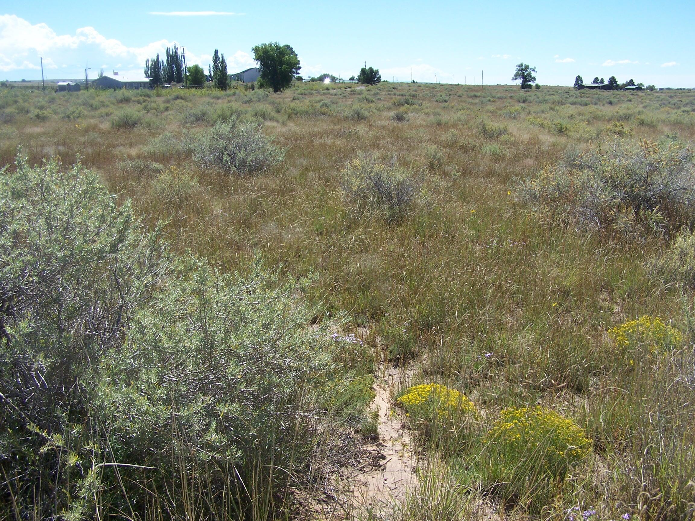 0 Galloway/Belgian Avenue