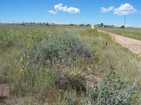 Vacant Land For Sale - Galloway/belgian Avenue<br/> Moriarty, NM 87035