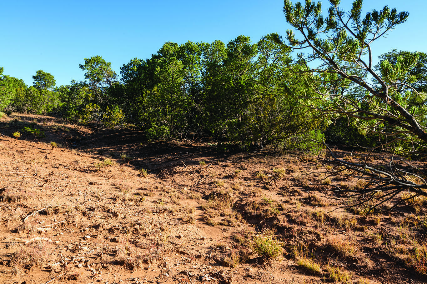 7 Sedillo Hill Place, Tijeras, New Mexico image 3