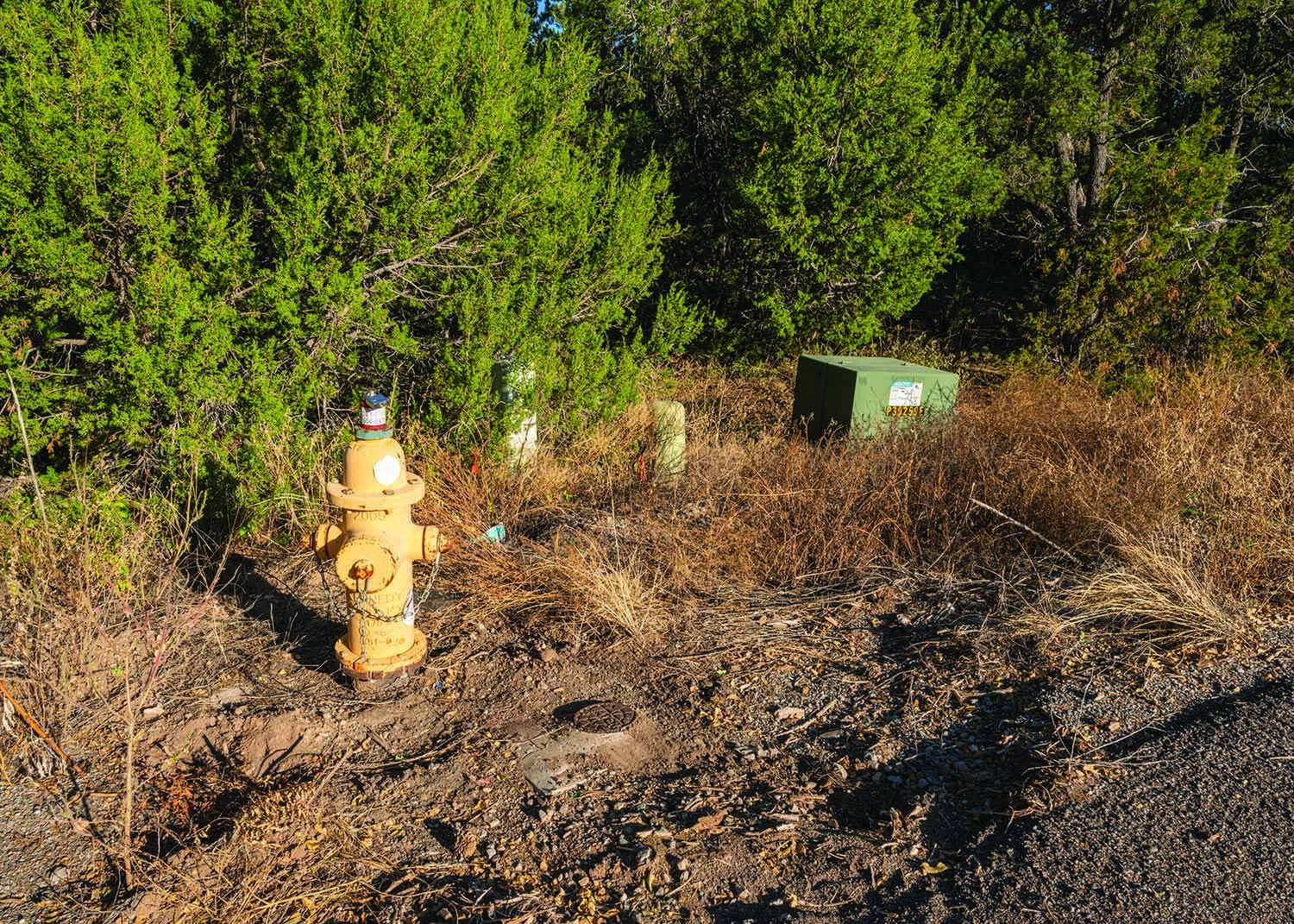 7 Sedillo Hill Place, Tijeras, New Mexico image 12