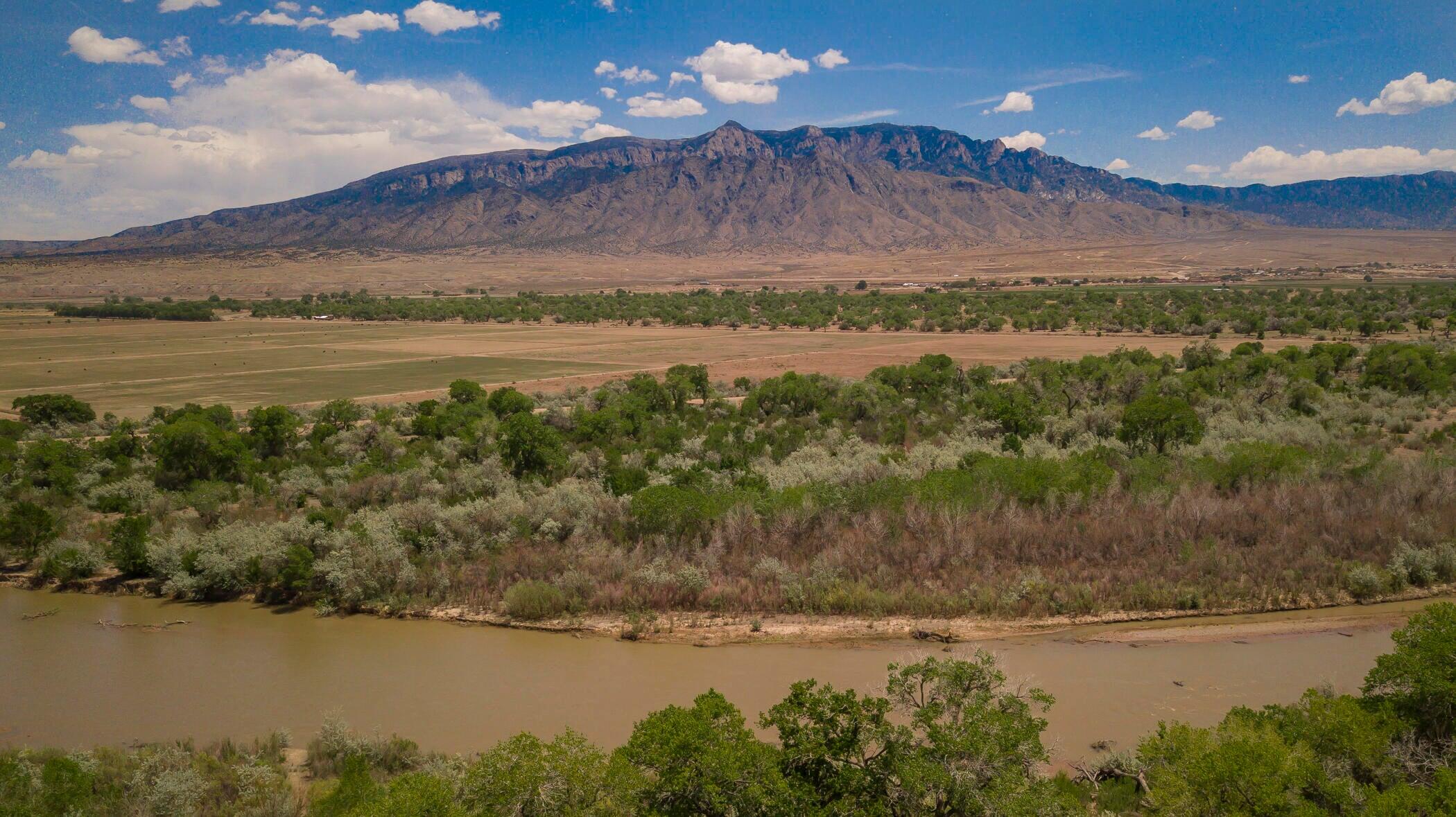 51 Camino De Los Arboles, Corrales, New Mexico image 50