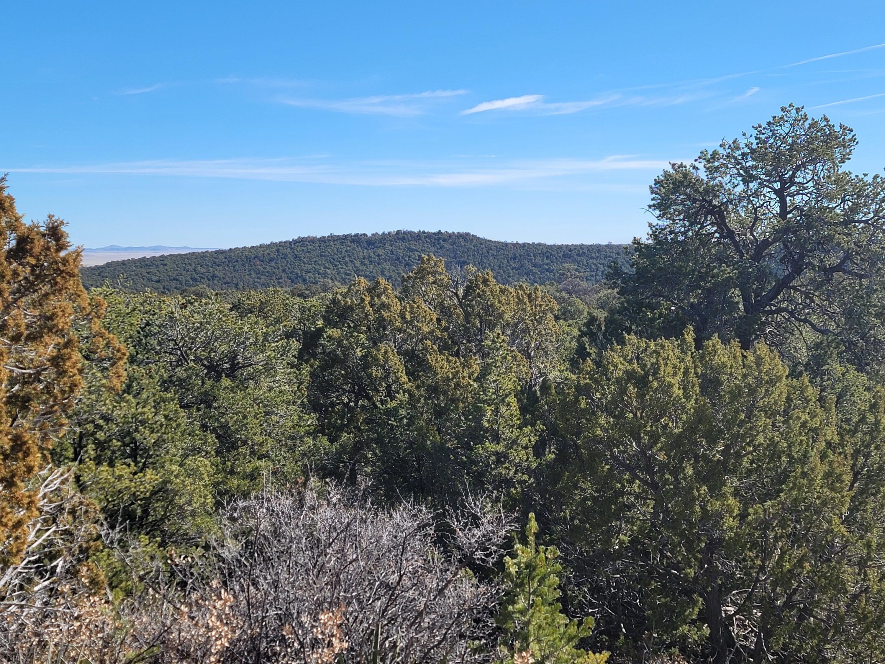 184 Sunlight Road, Edgewood, New Mexico image 1