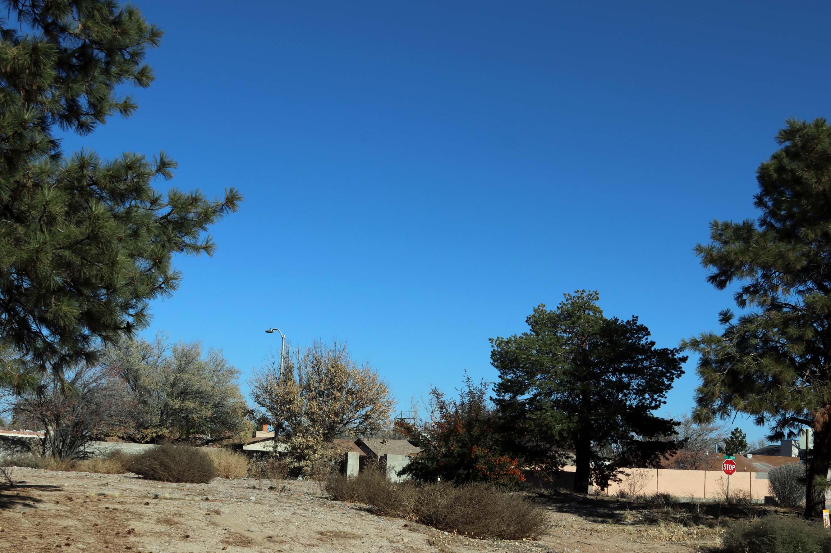 5179 Golondrina, Albuquerque, New Mexico image 3