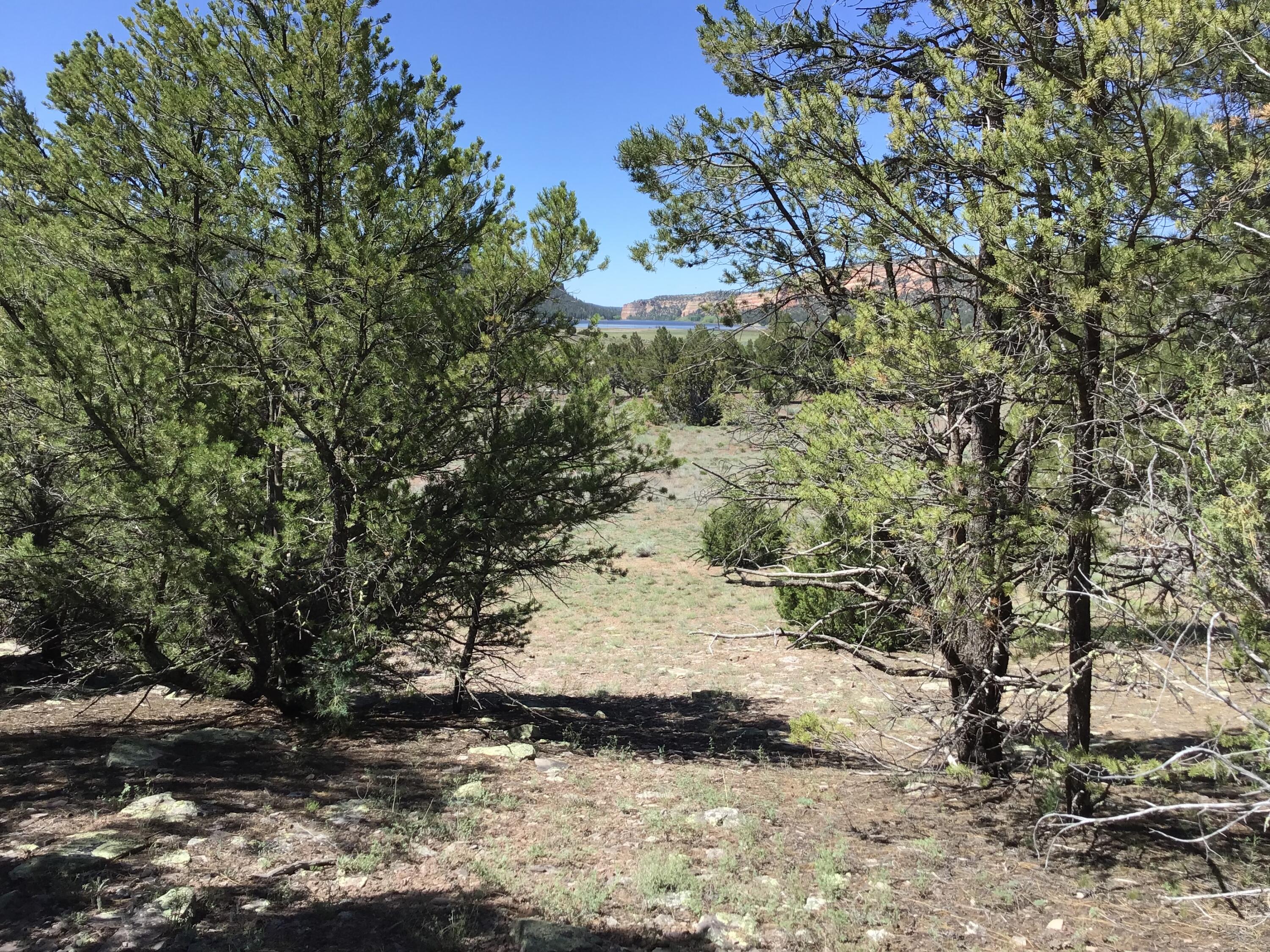 Lot 7 Sunflower Drive, Ramah, New Mexico image 18