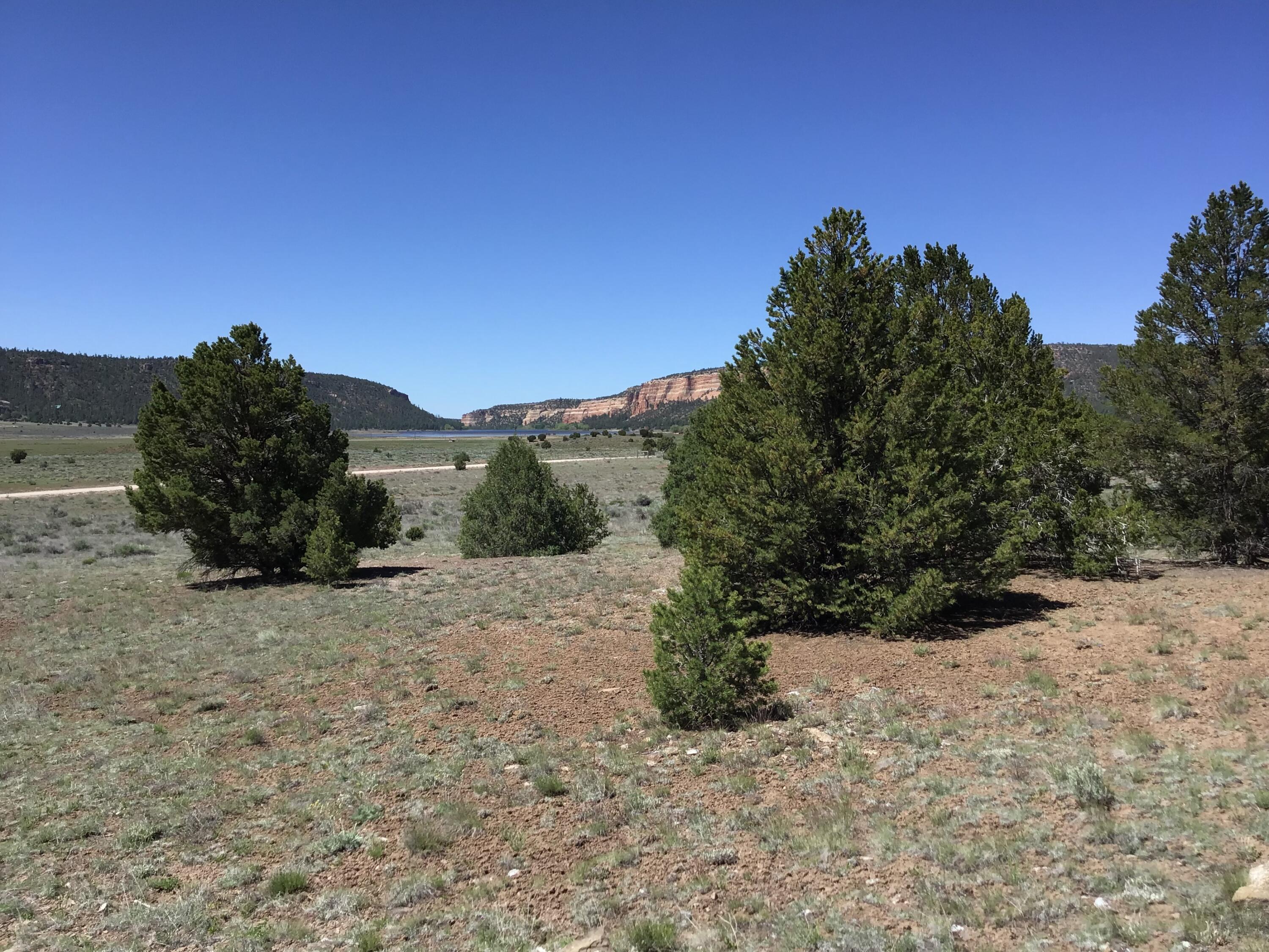 Lot 7 Sunflower Drive, Ramah, New Mexico image 3