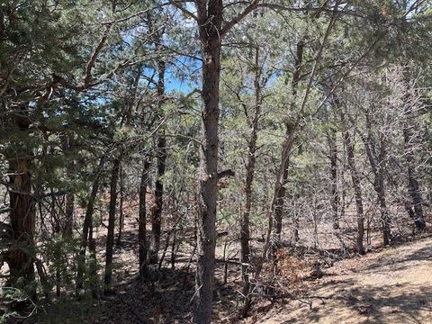 Vacant Land For Sale - 46 Big Dipper Road<br/> Bernalillo County, Tijeras, NM 87059