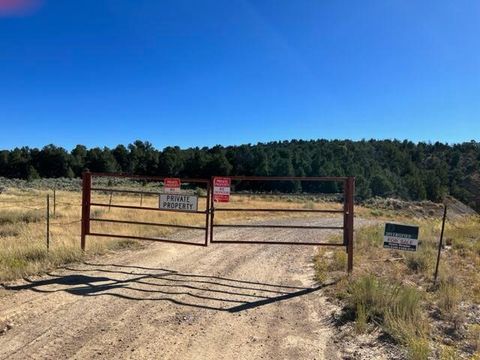 Vacant Land For Sale - W San Jose Trail<br/> Regina, NM 87046