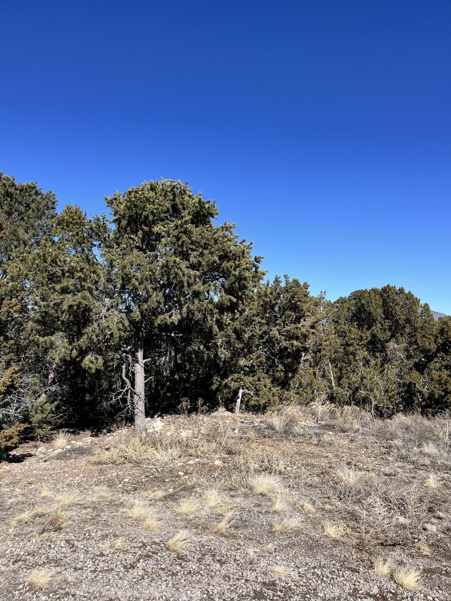 Glorieta, Glorieta, New Mexico image 4