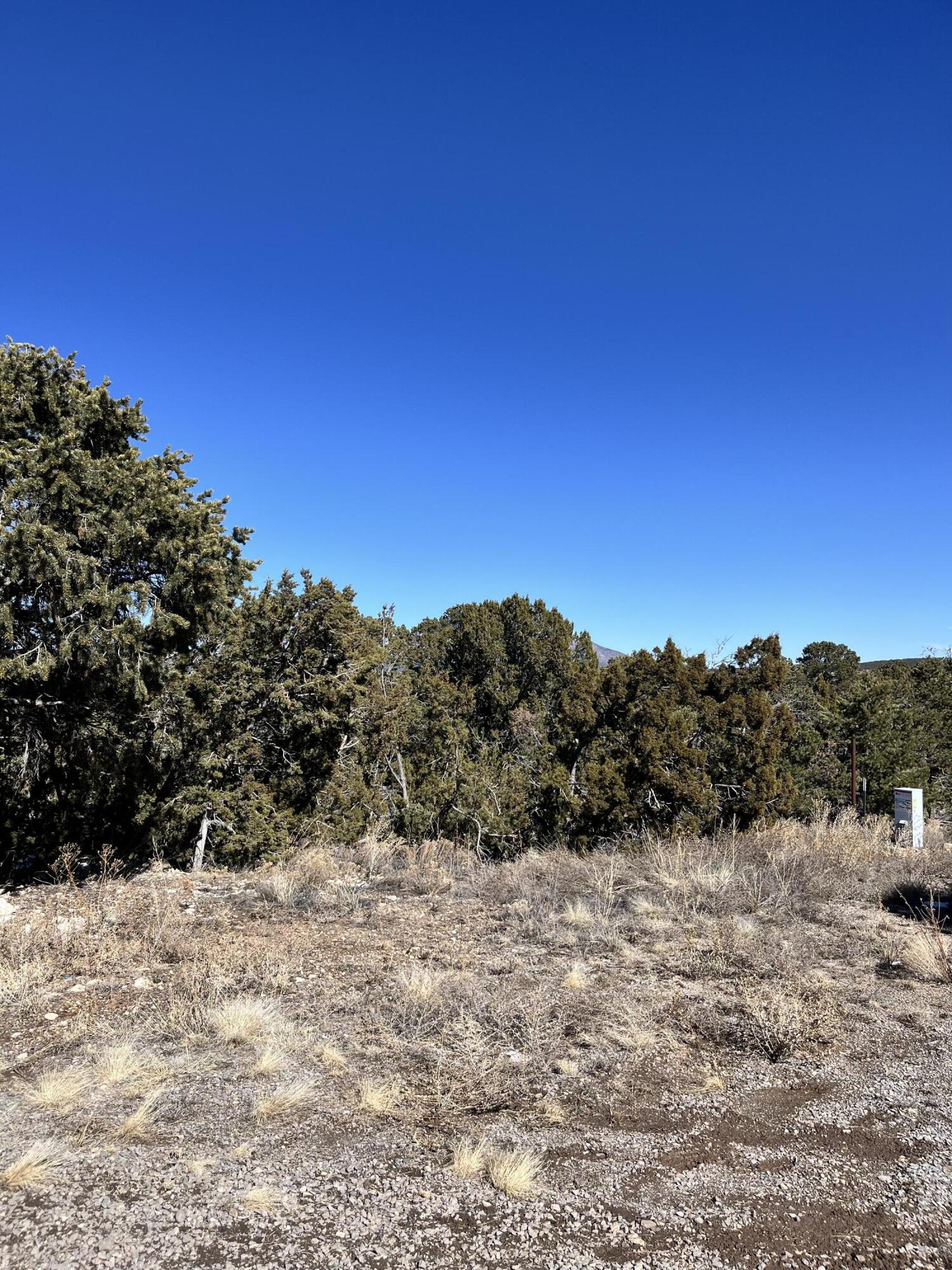 Glorieta, Glorieta, New Mexico image 3
