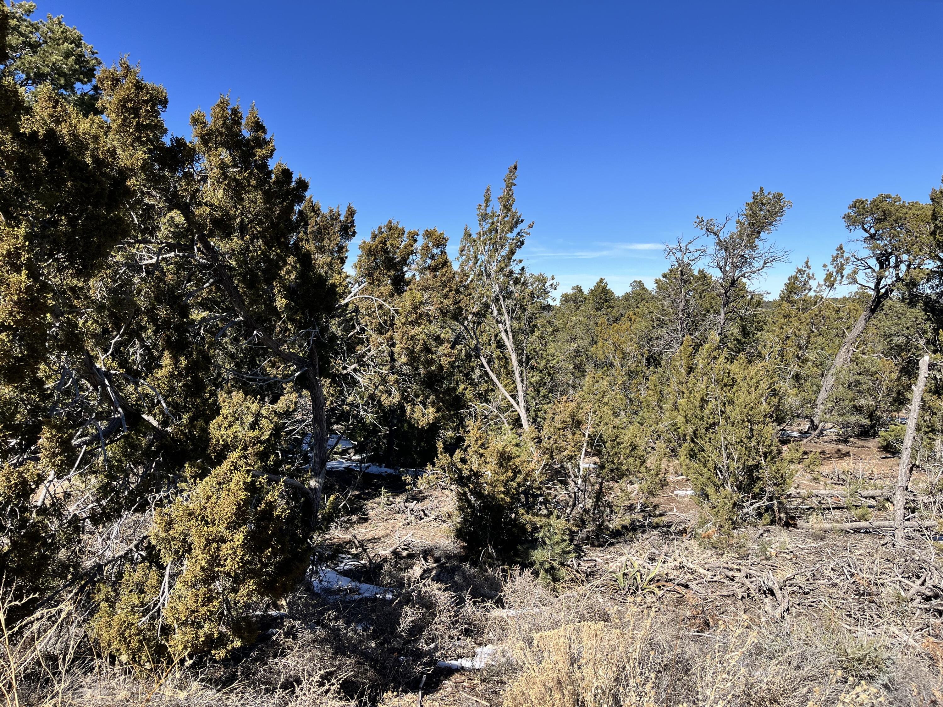 Glorieta, Glorieta, New Mexico image 7