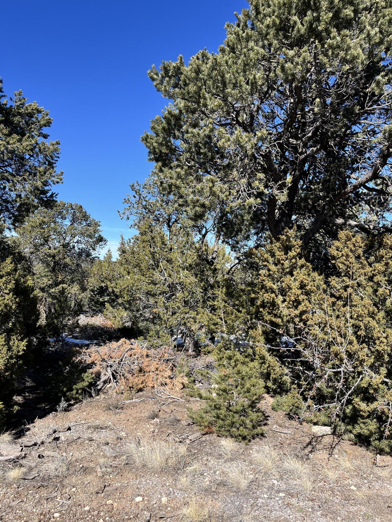 Glorieta, Glorieta, New Mexico image 2