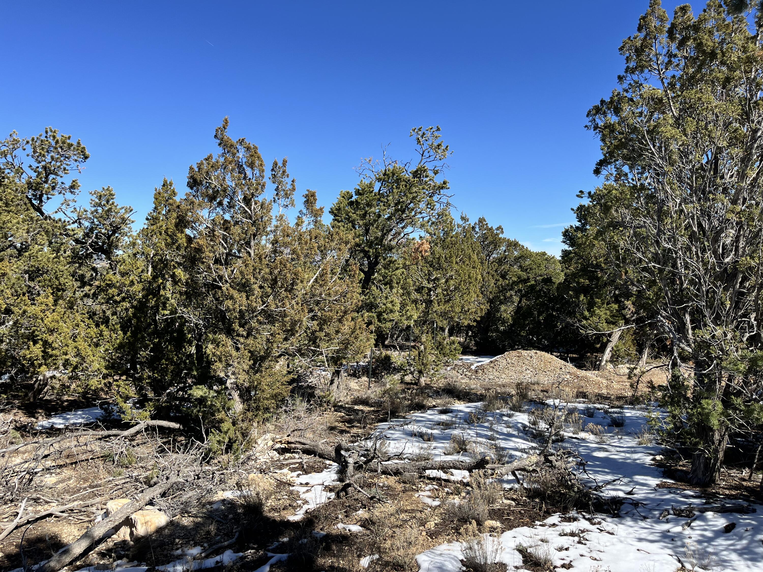 Glorieta, Glorieta, New Mexico image 6