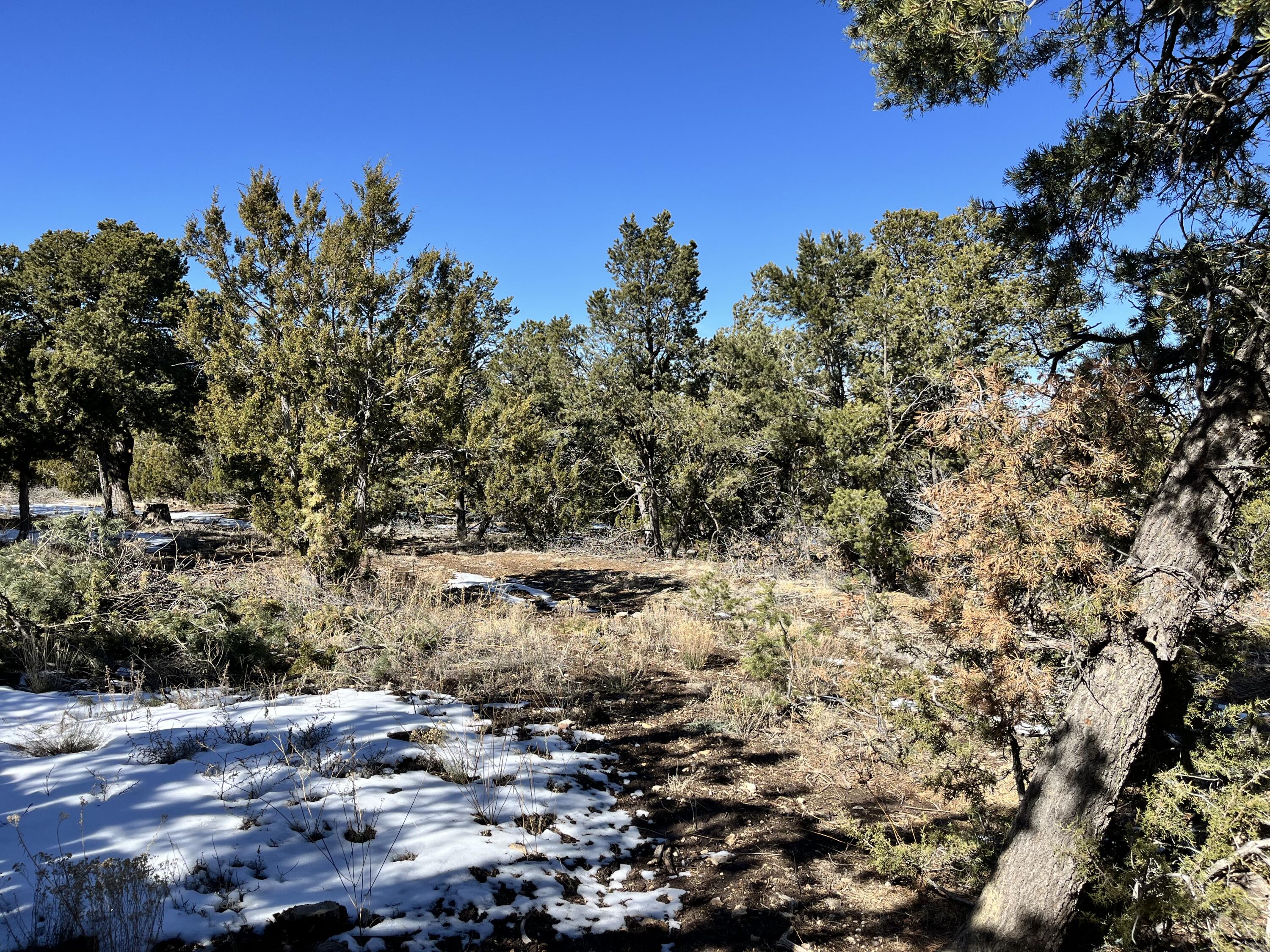 Glorieta, Glorieta, New Mexico image 8