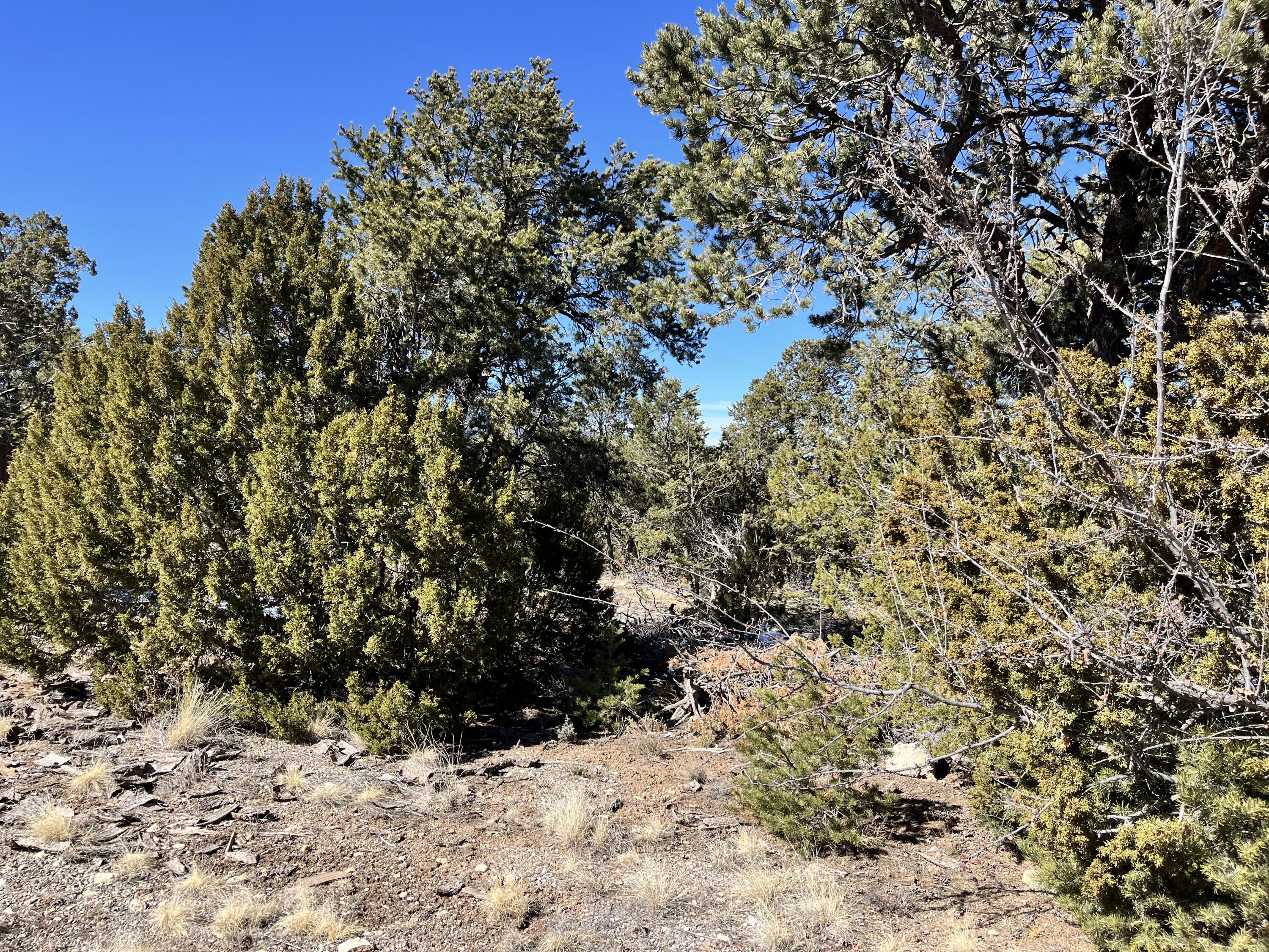 Glorieta, Glorieta, New Mexico image 9