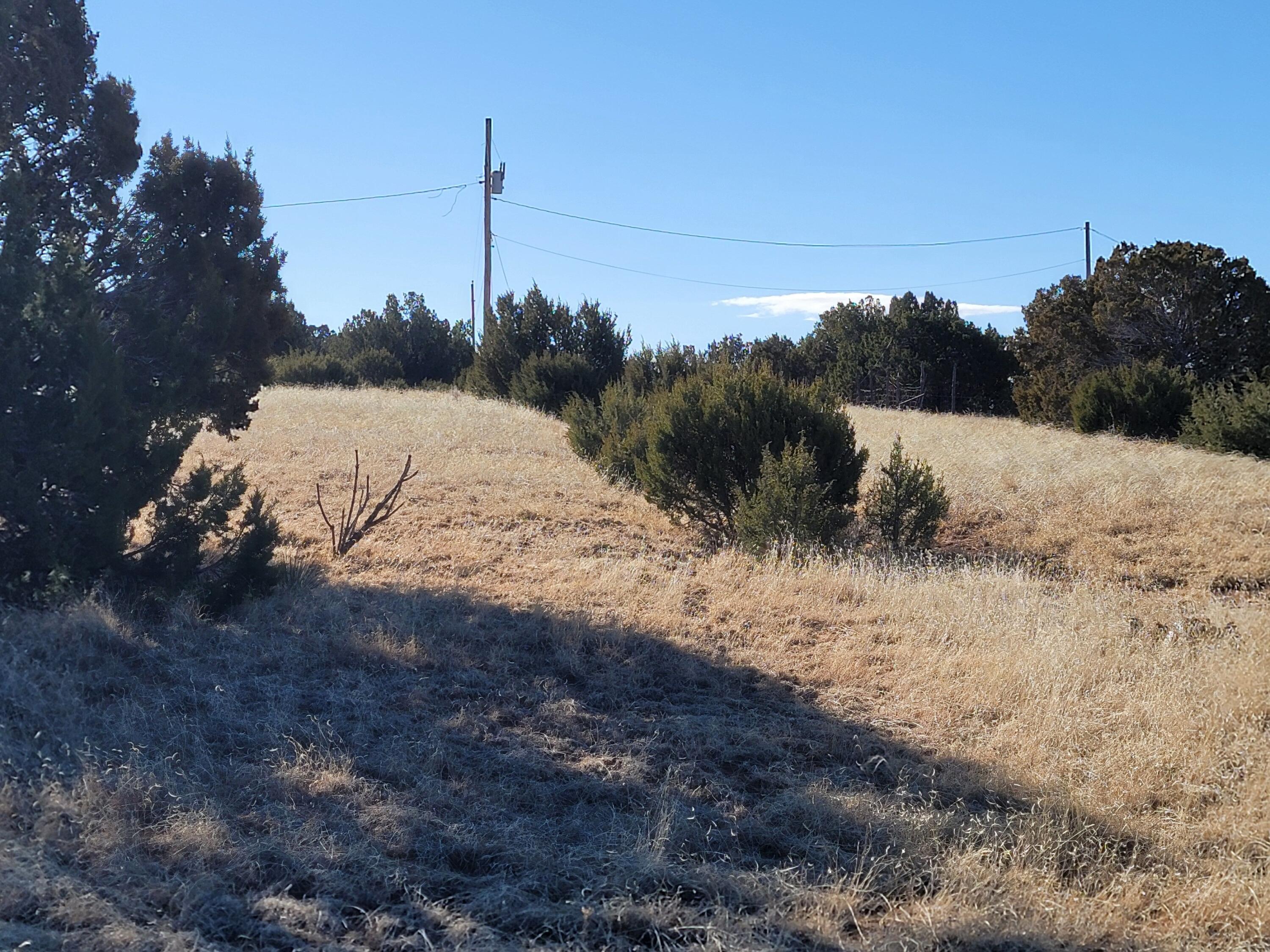 43 Bullock Road, Moriarty, New Mexico image 4