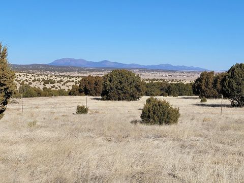 Vacant Land For Sale - 43 Bullock Road<br/> Moriarty, NM 87035