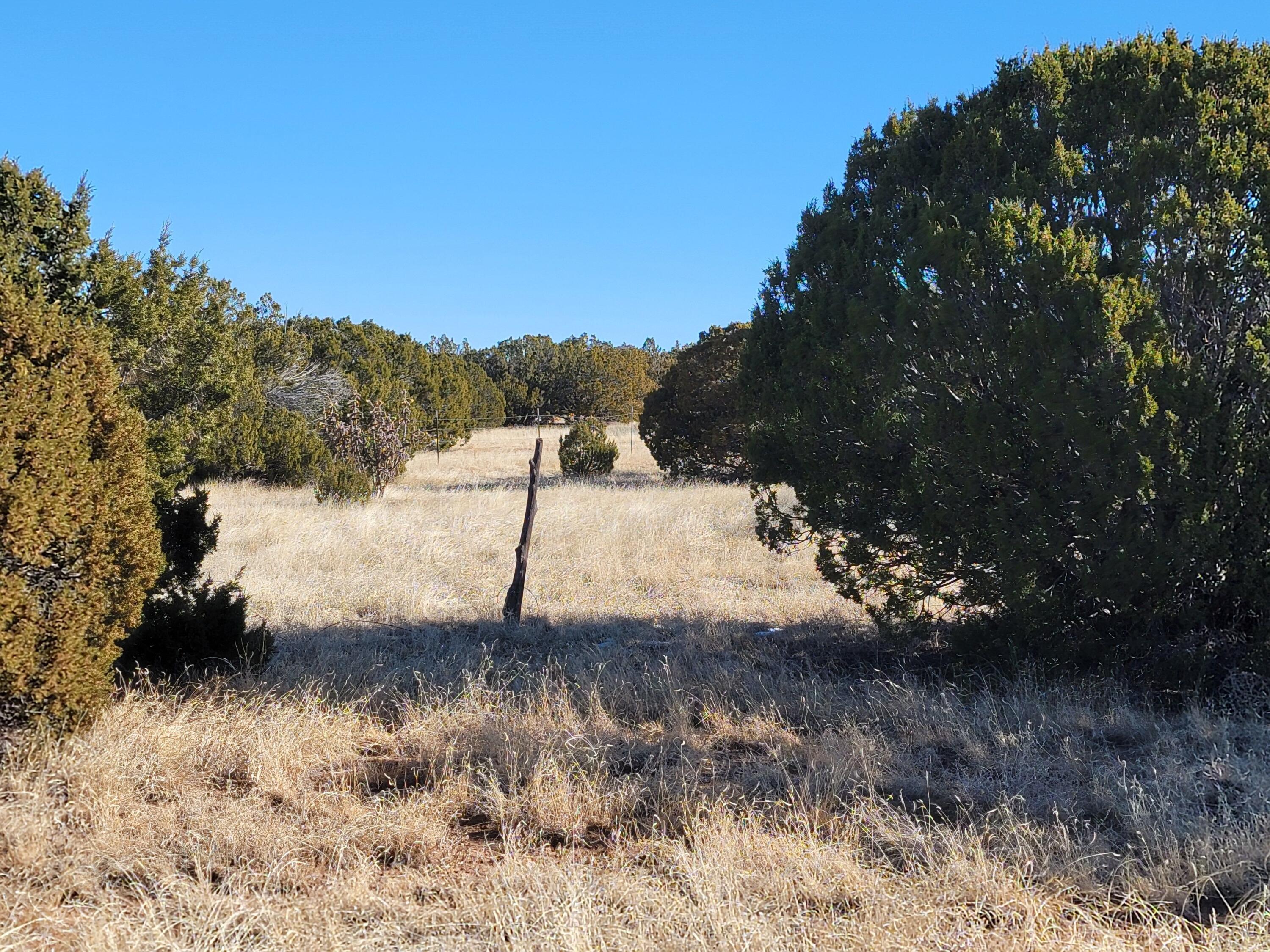 43 Bullock Road, Moriarty, New Mexico image 3