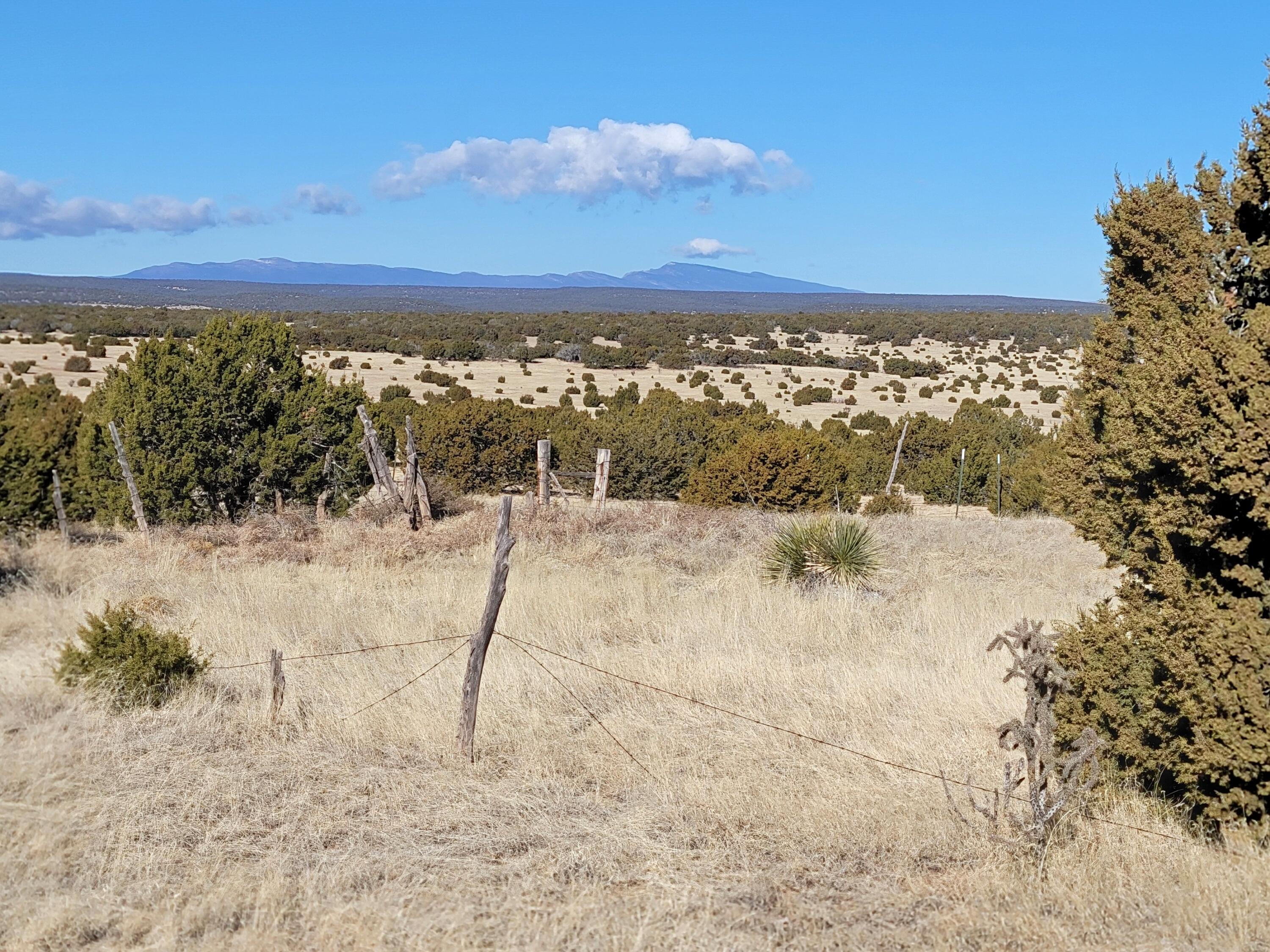 43 Bullock Road, Moriarty, New Mexico image 2