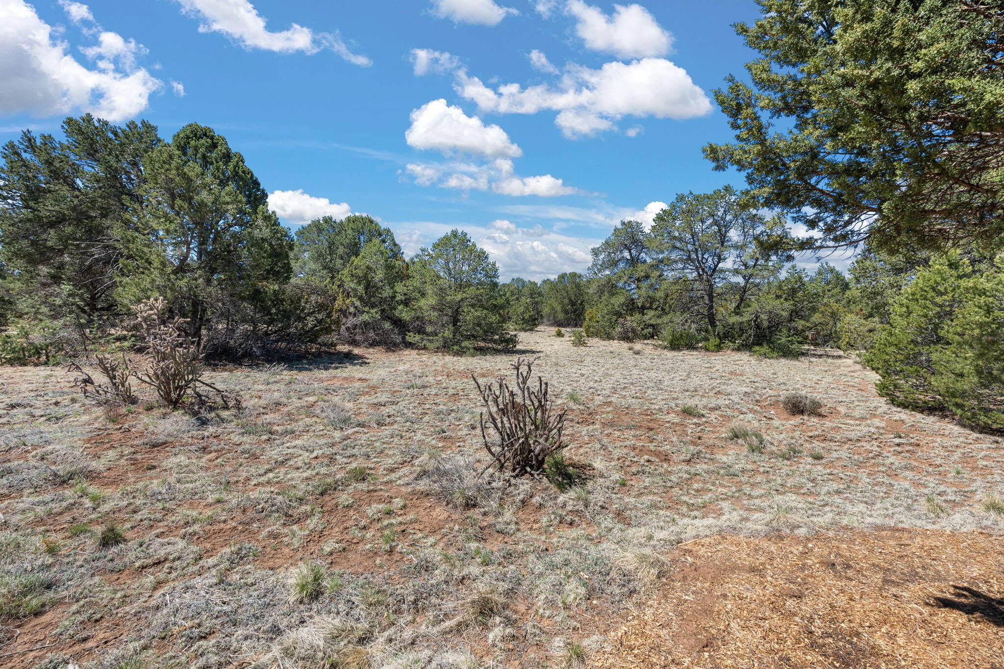 11 Coyote Canyon Trail, Tijeras, New Mexico image 42