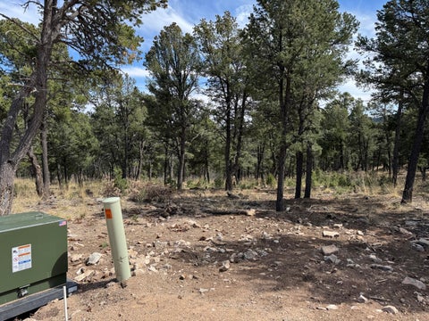 Vacant Land For Sale - Birds Of A Feather<br/> Pecos, NM 87552