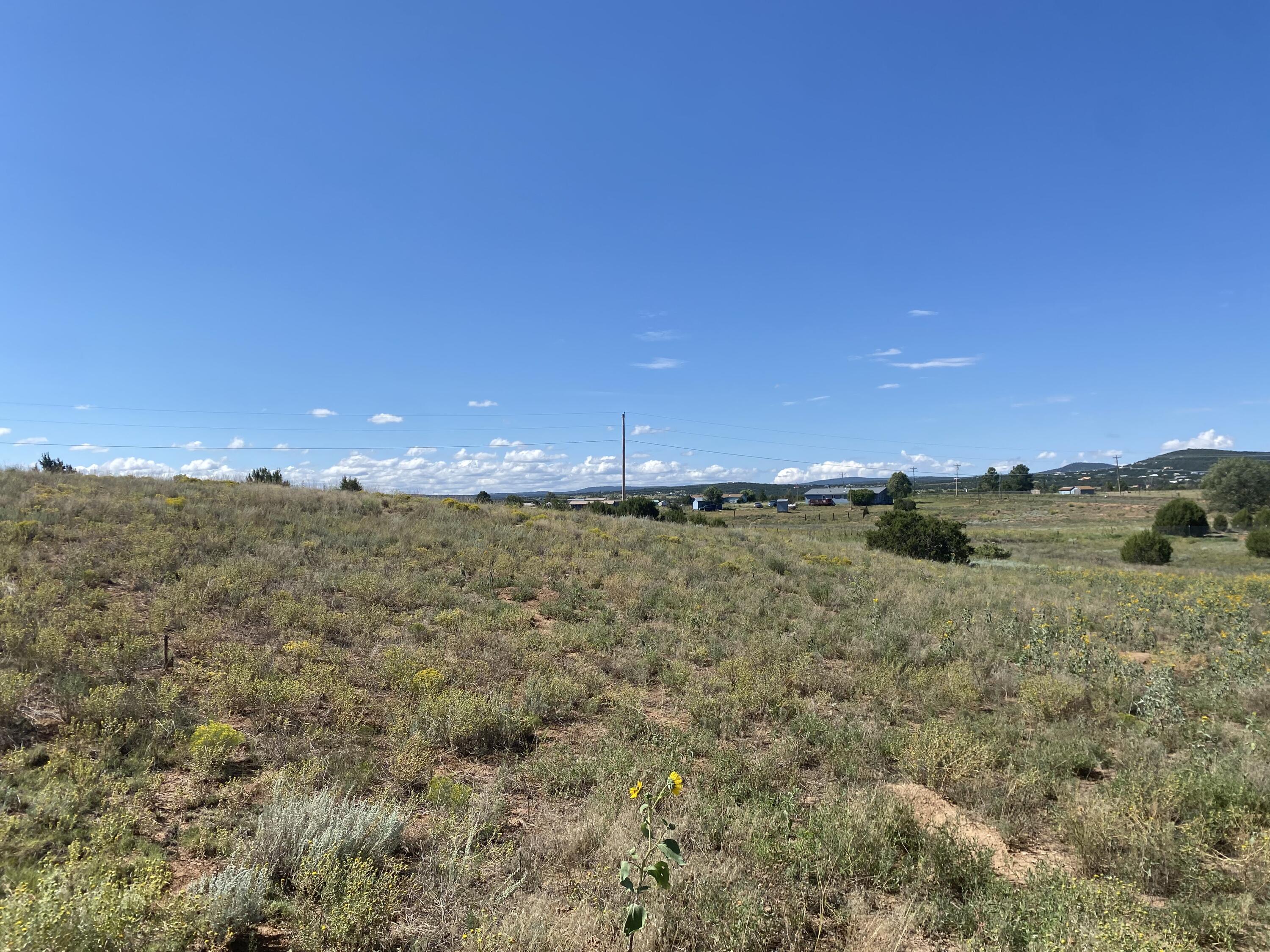 Tbd Pioneer Road, Edgewood, New Mexico image 3