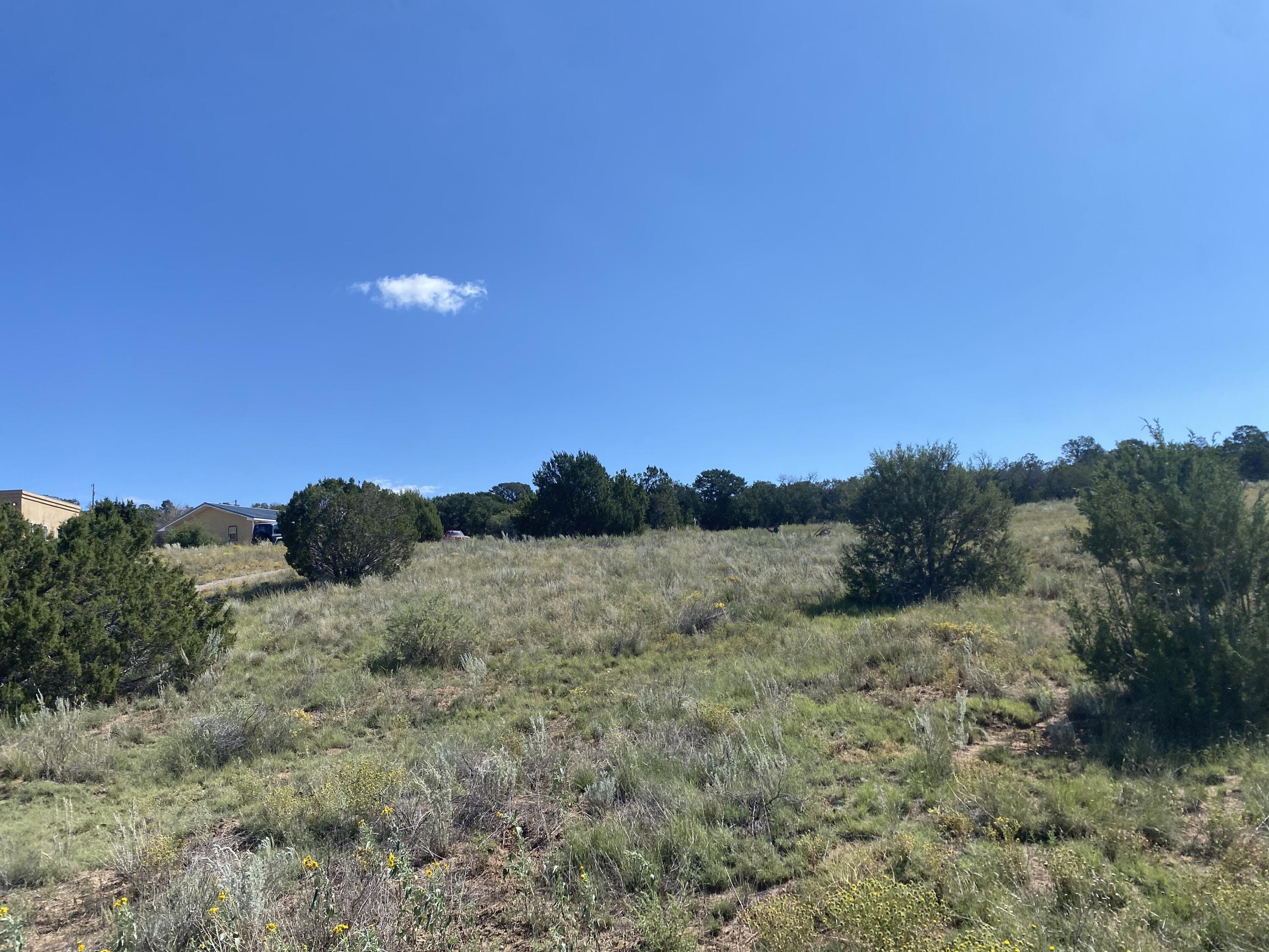 Tbd Pioneer Road, Edgewood, New Mexico image 17