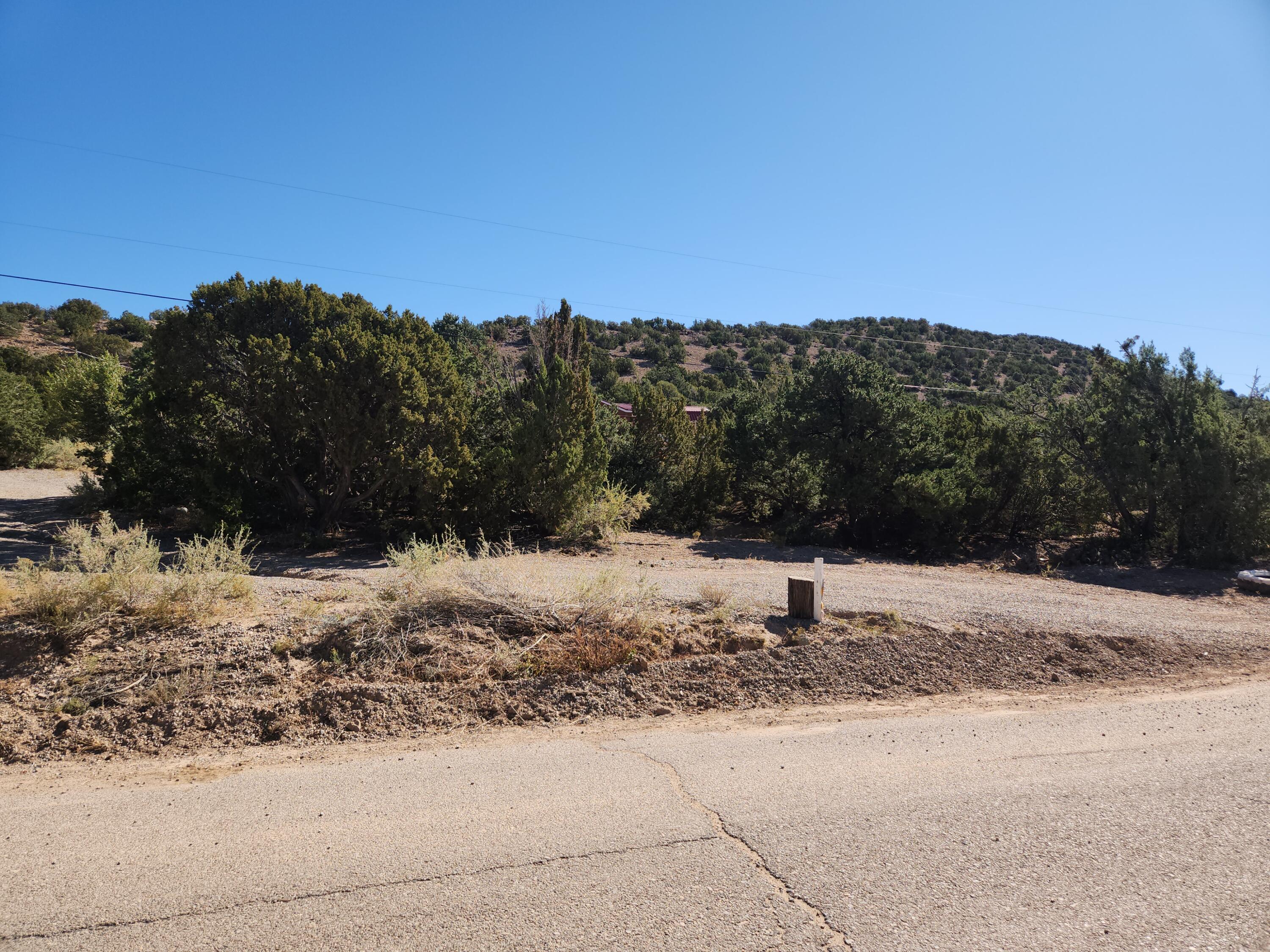 3 Cuchillo De Oro, Placitas, New Mexico image 44