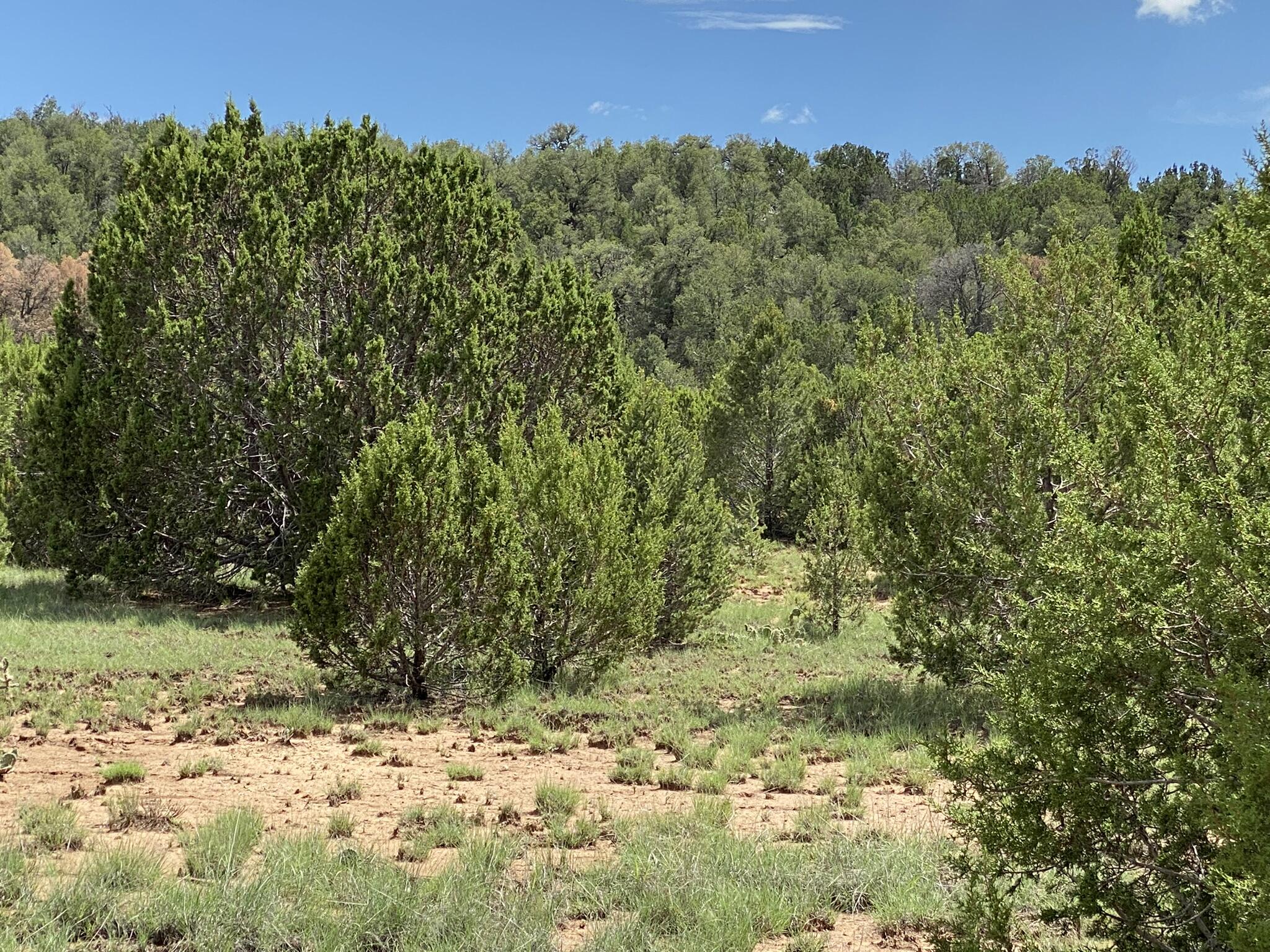 Windhaven Lot 9 Lane, Edgewood, New Mexico image 4