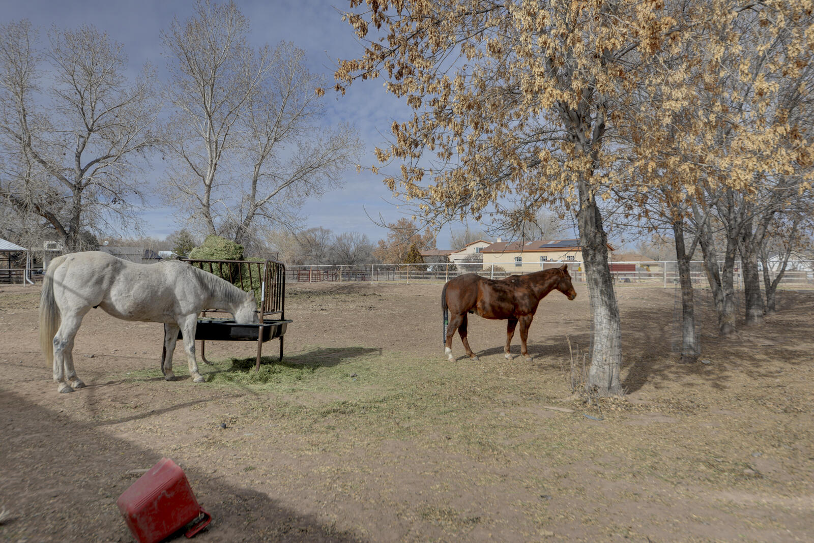 2492 Green Drive, Bosque Farms, New Mexico image 28