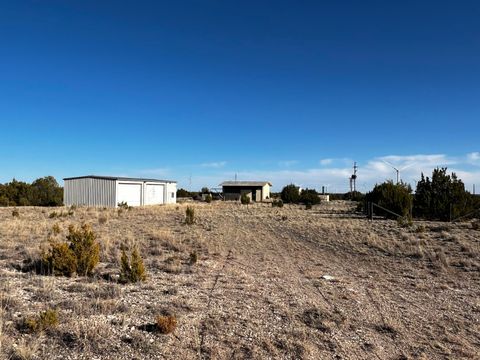 19103 US Highway 54 Highway Encino NM 88321