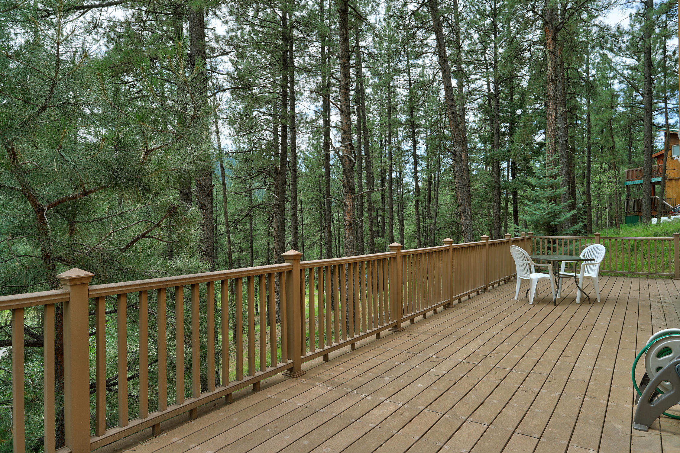 123 Sleepy Pine Lane, Jemez Springs, New Mexico image 19