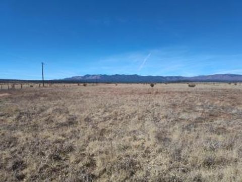Vacant Land For Sale - TRACT B Spencer Ranch Road<br/> Mountainair, NM 87036