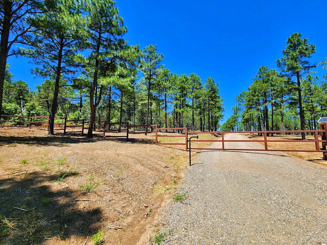 30 Verga Drive, Tijeras, New Mexico image 1