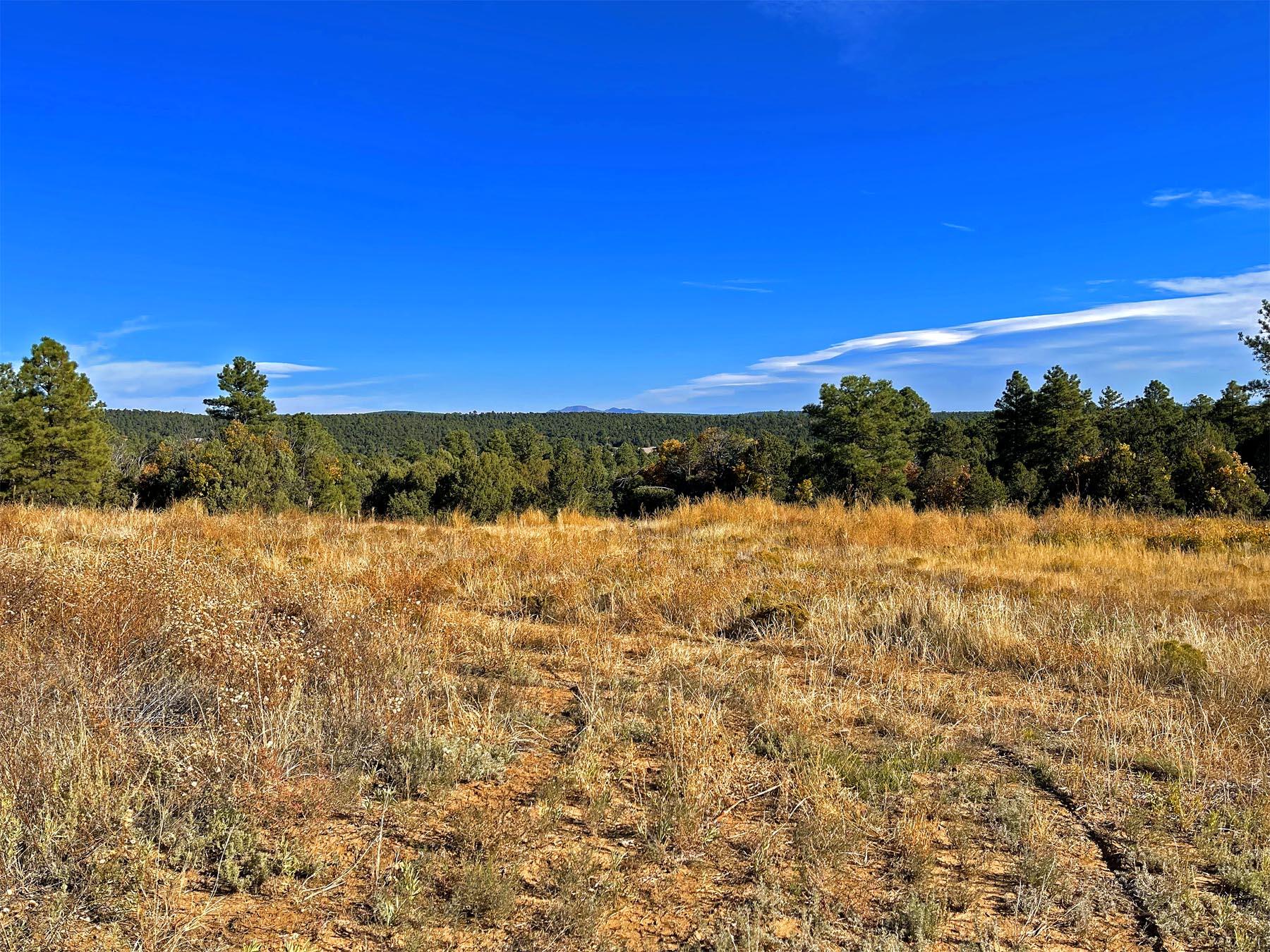 30 Verga Drive, Tijeras, New Mexico image 43